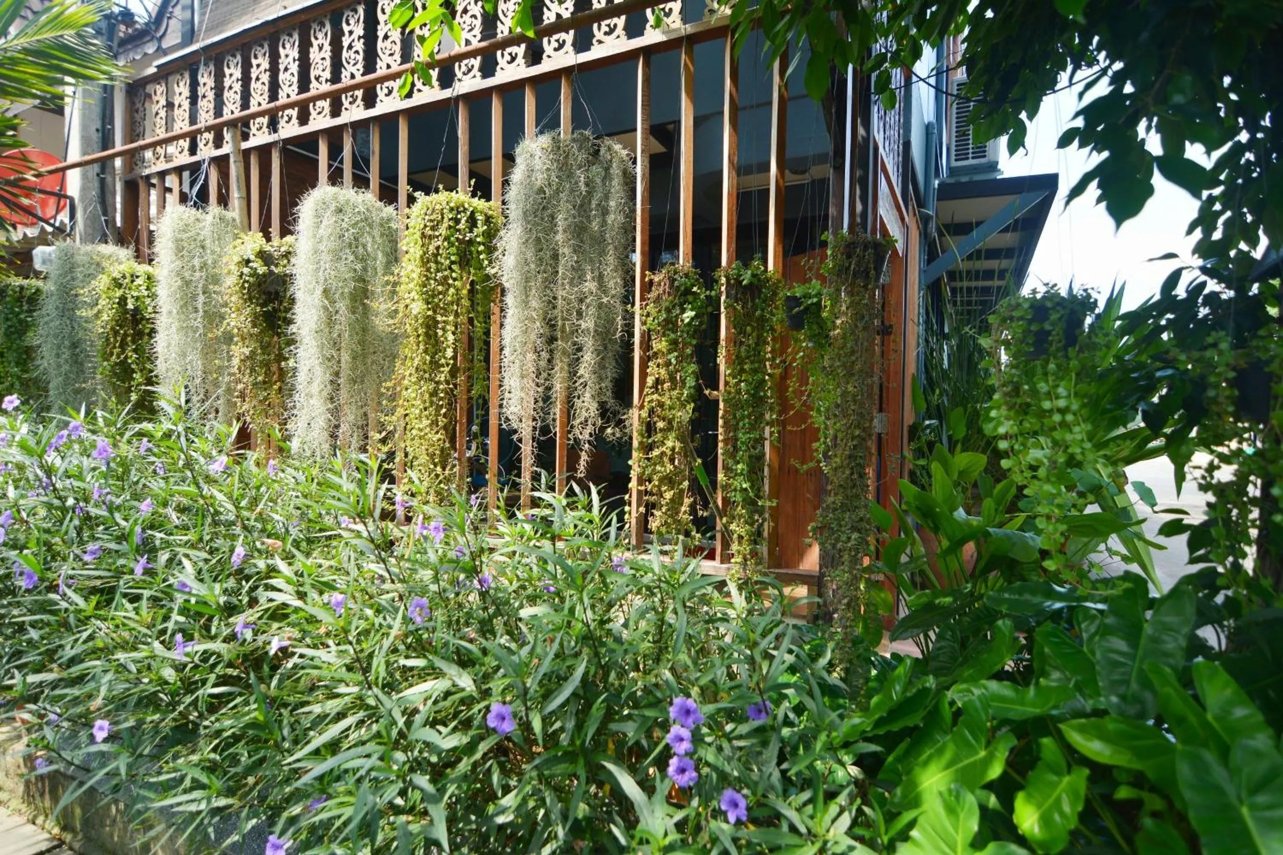 Garden in The Corner's unique house