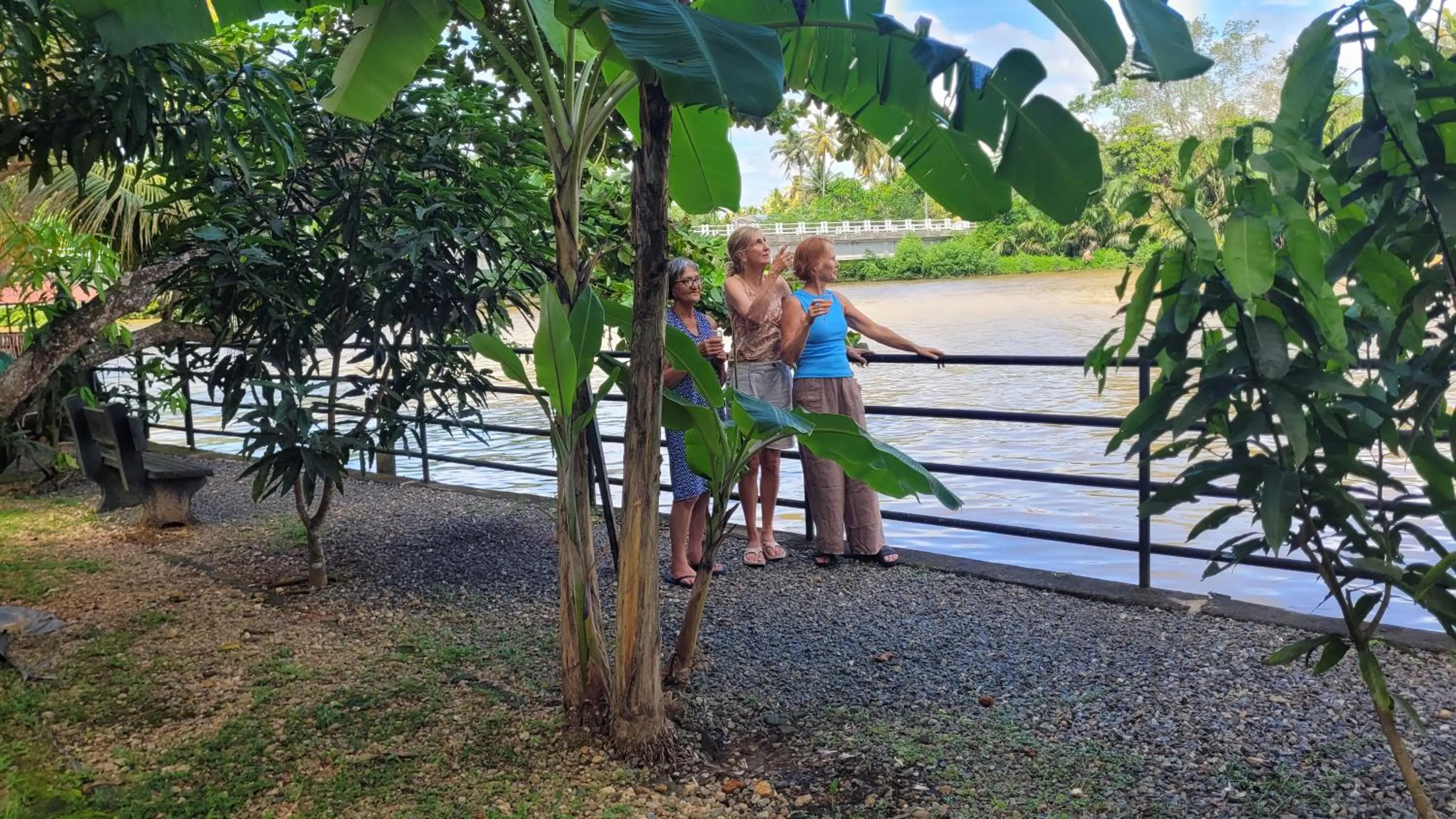 River view in Pelli Riverine