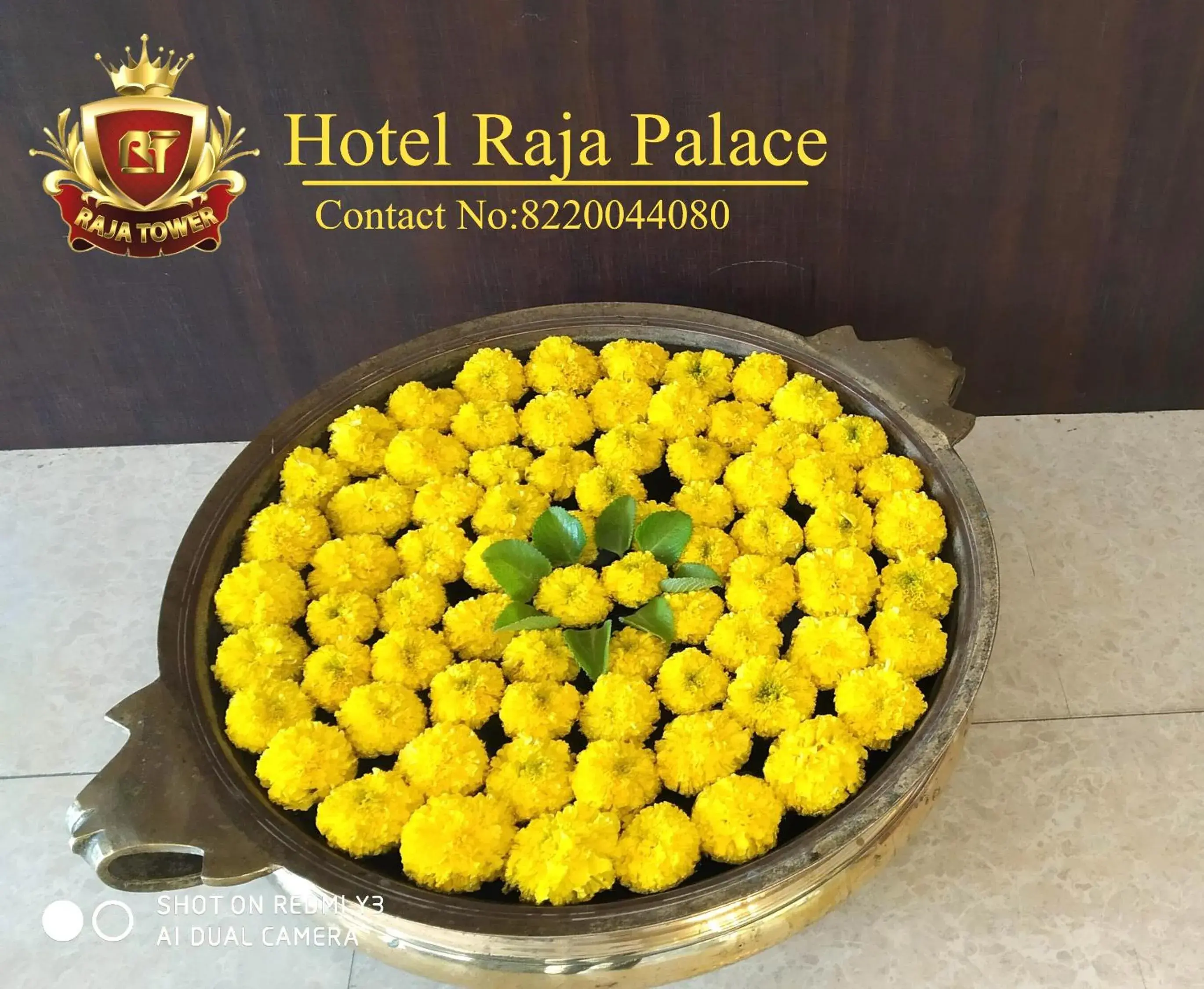 Deluxe Double Room with Balcony in The Hotel Raja Palace Deluxe Double Room with Balcony in The Hotel Raja Palace