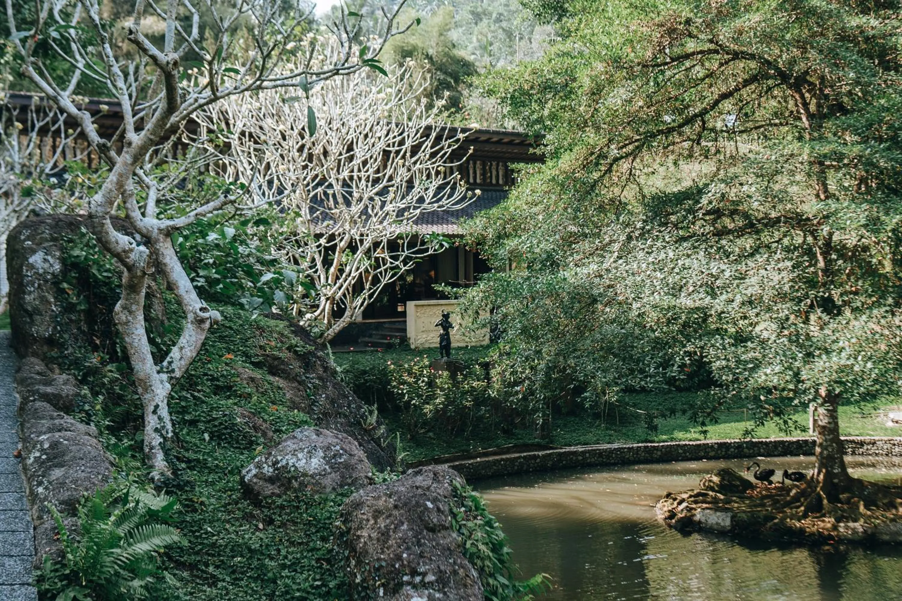 Garden in Dua Dari, a Residence by Hadiprana