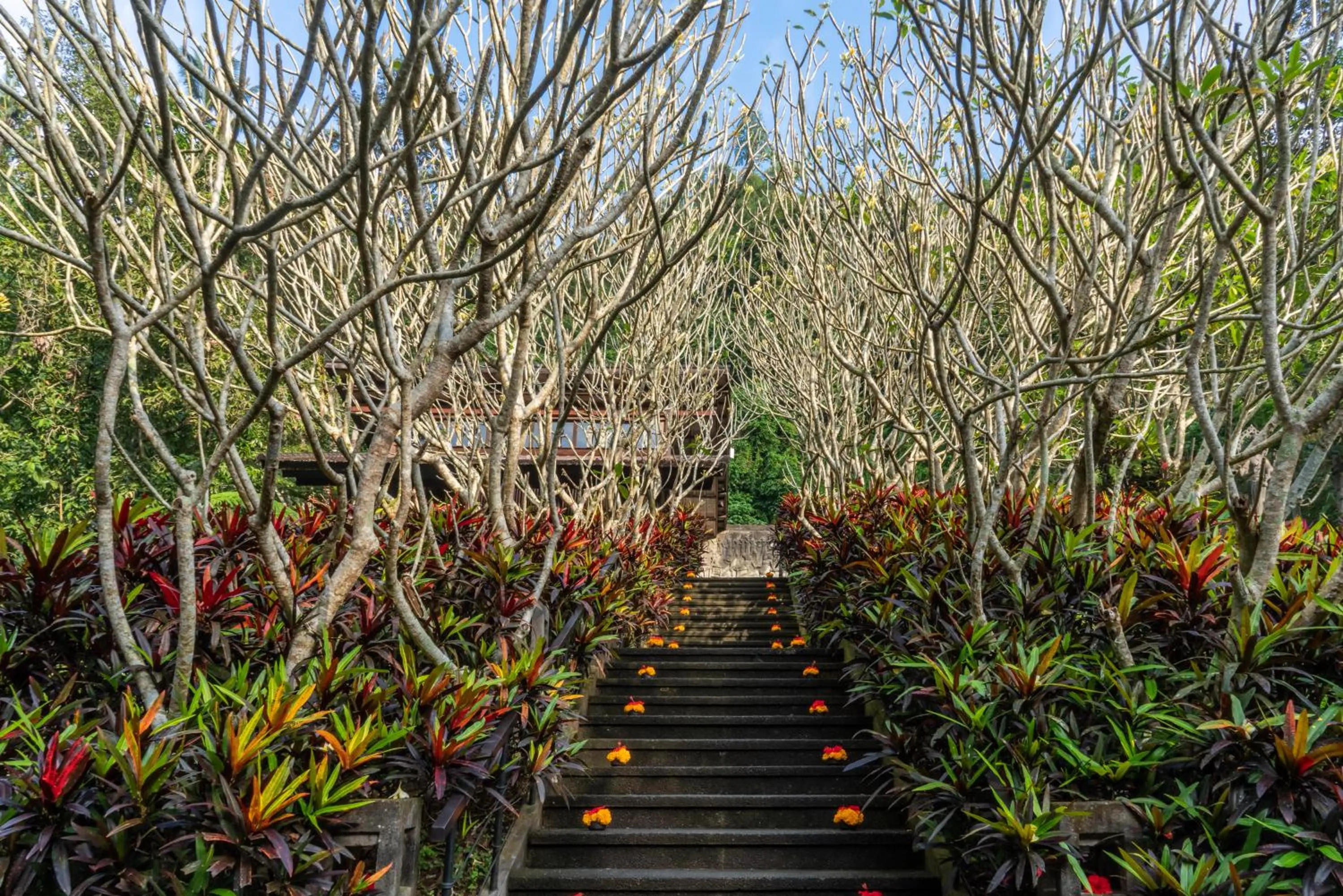 Garden in Dua Dari, a Residence by Hadiprana