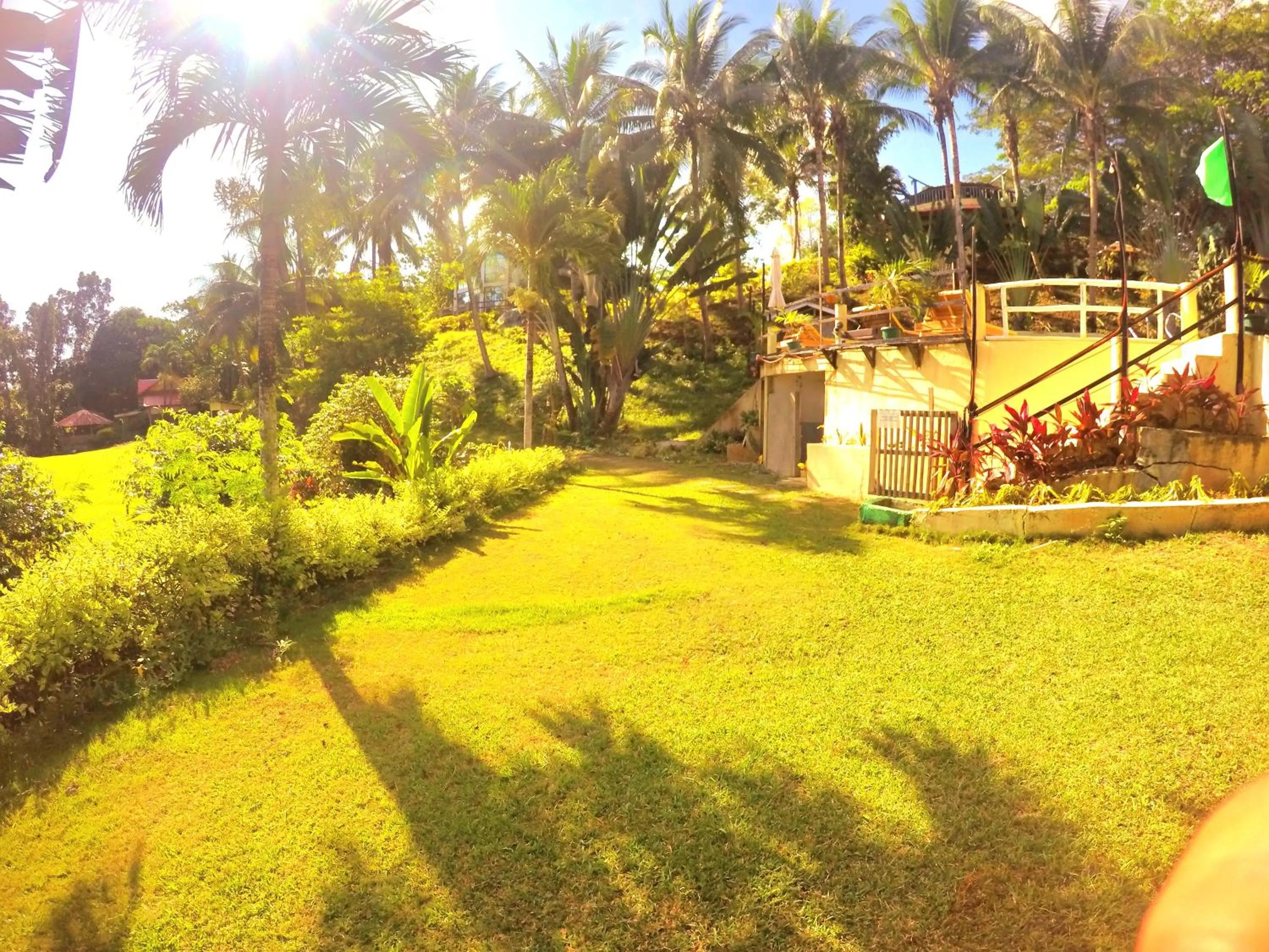 Al Hamra Jungle Resort