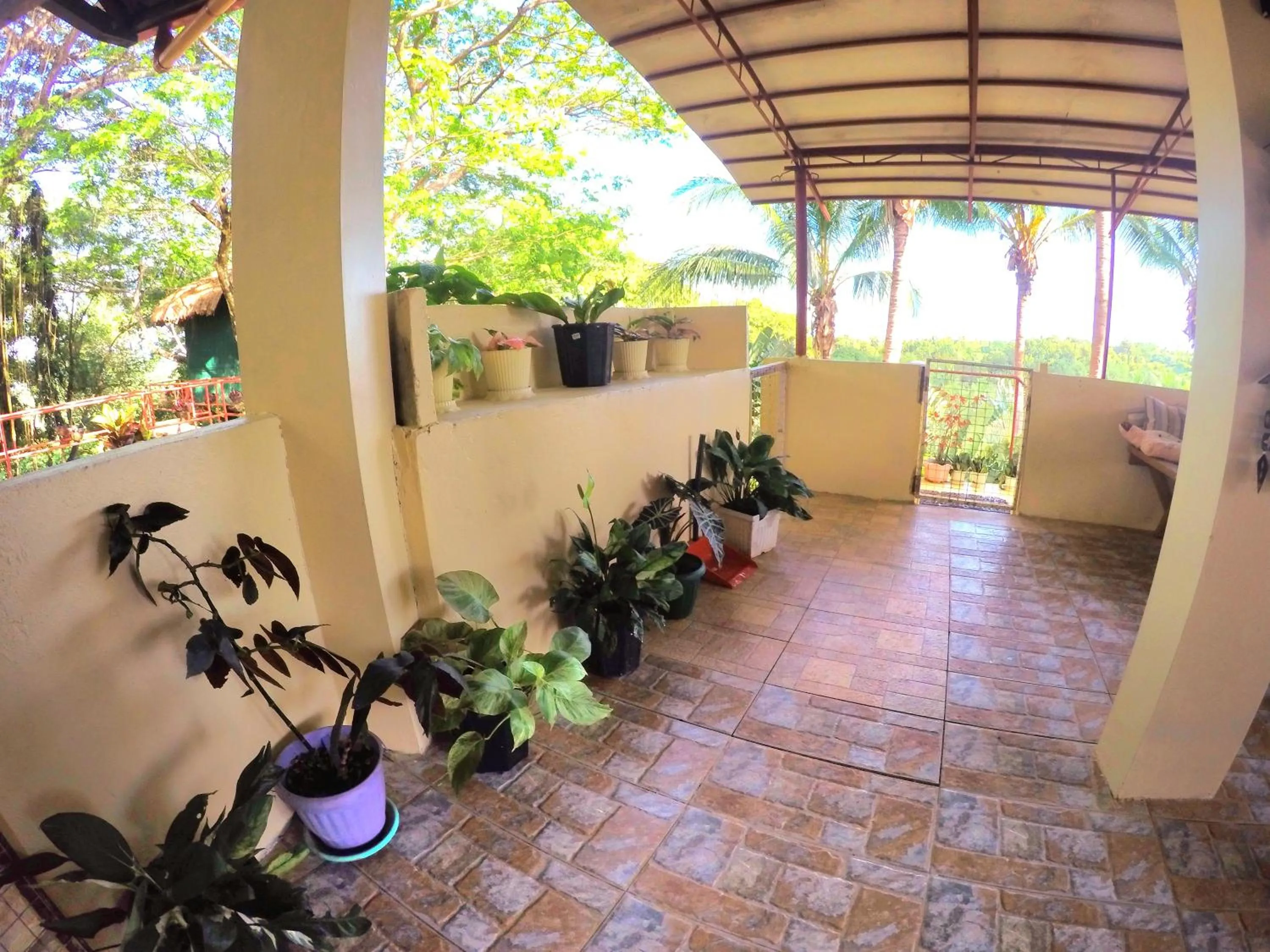 Al Hamra Jungle Resort