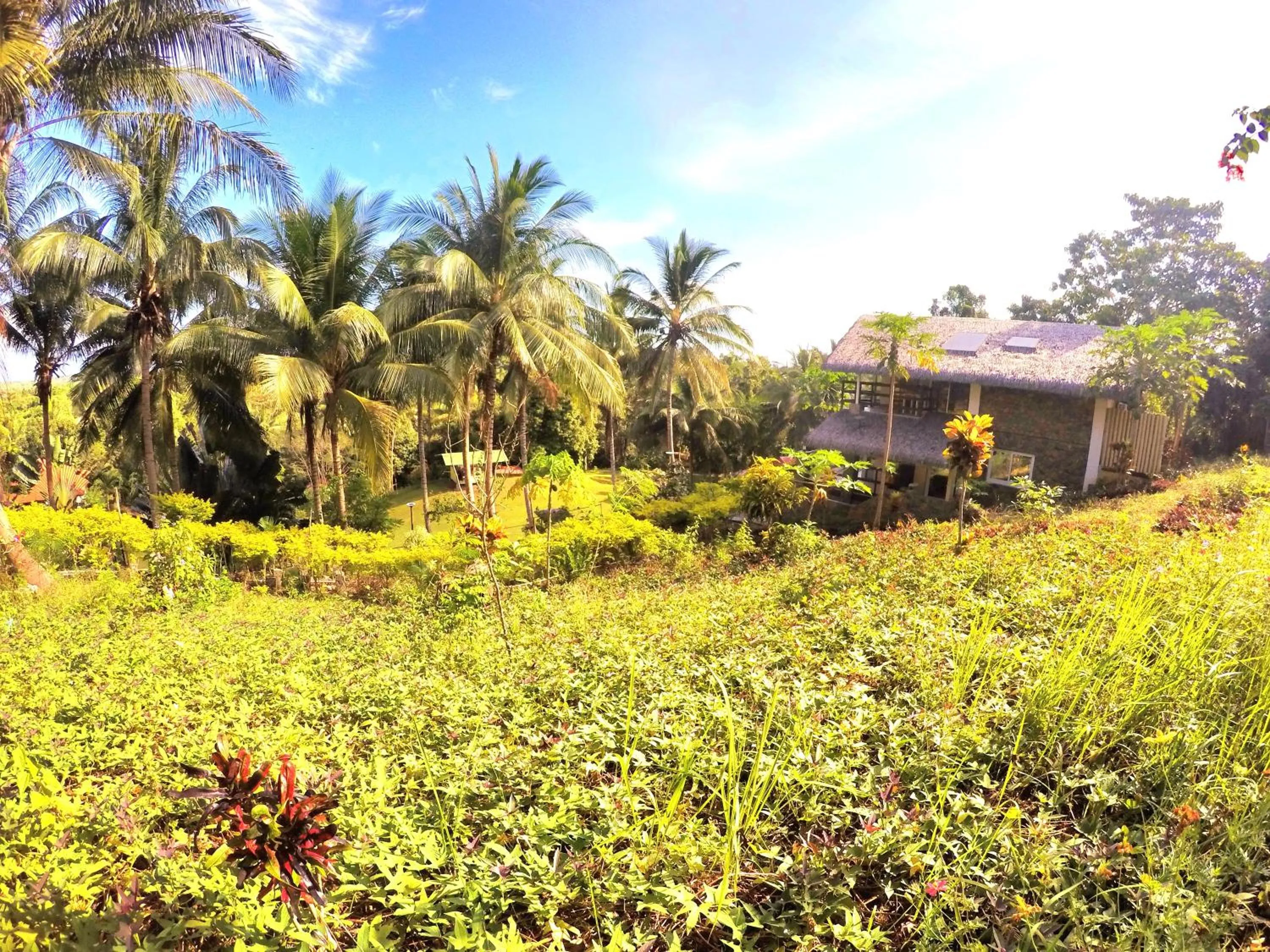 Al Hamra Jungle Resort