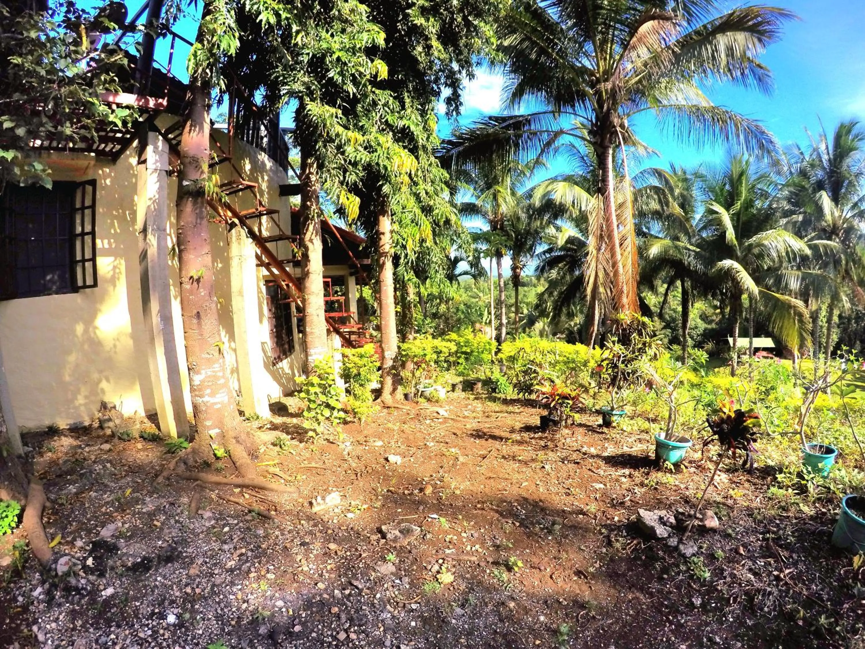 Al Hamra Jungle Resort