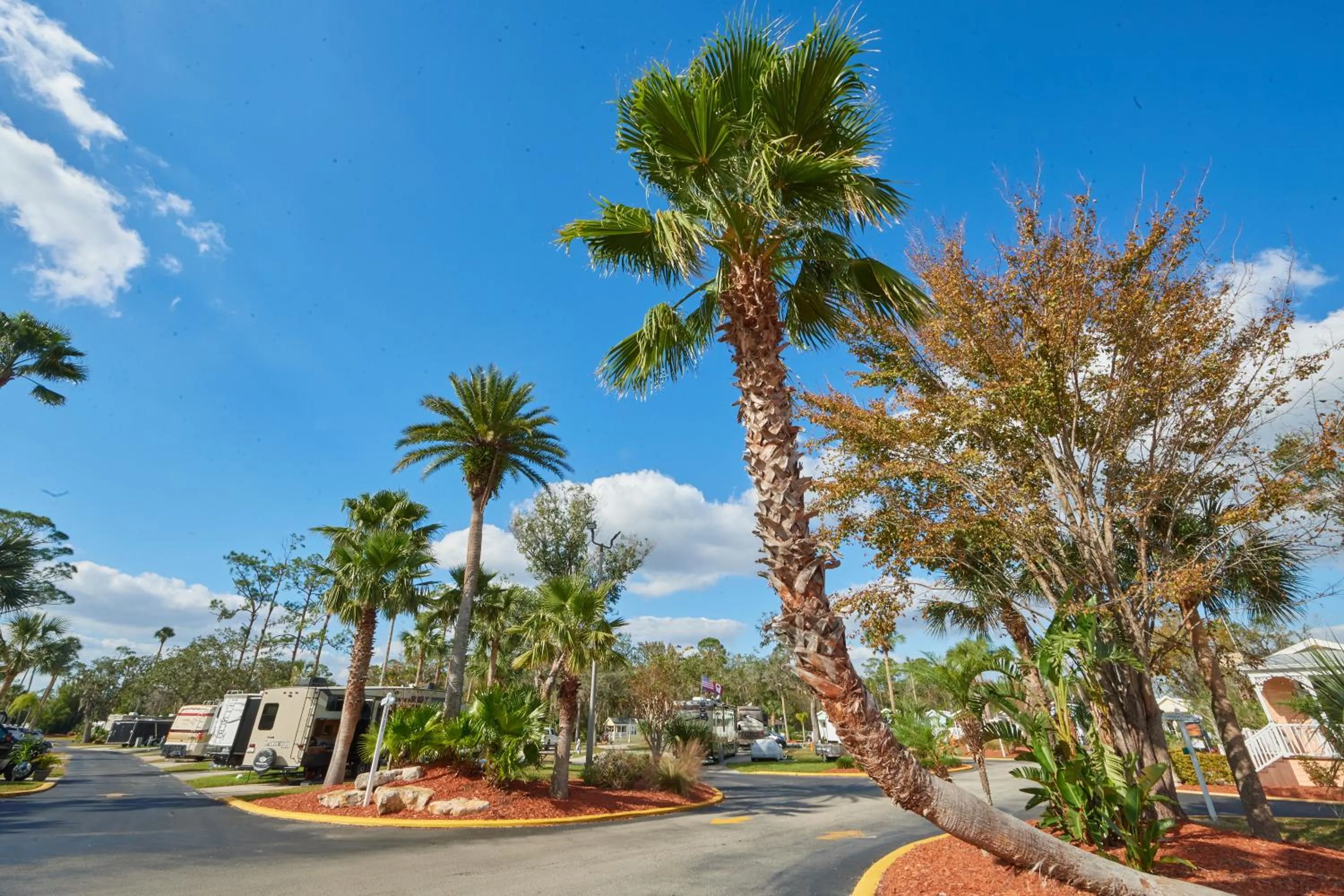 Facade/entrance in Tropical Palms Resort
