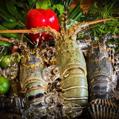 Restaurant/places to eat in Koh Jum Ocean Beach Resort