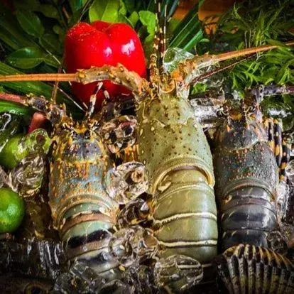 Restaurant/places to eat in Koh Jum Ocean Beach Resort Restaurant/places to eat in Koh Jum Ocean Beach Resort