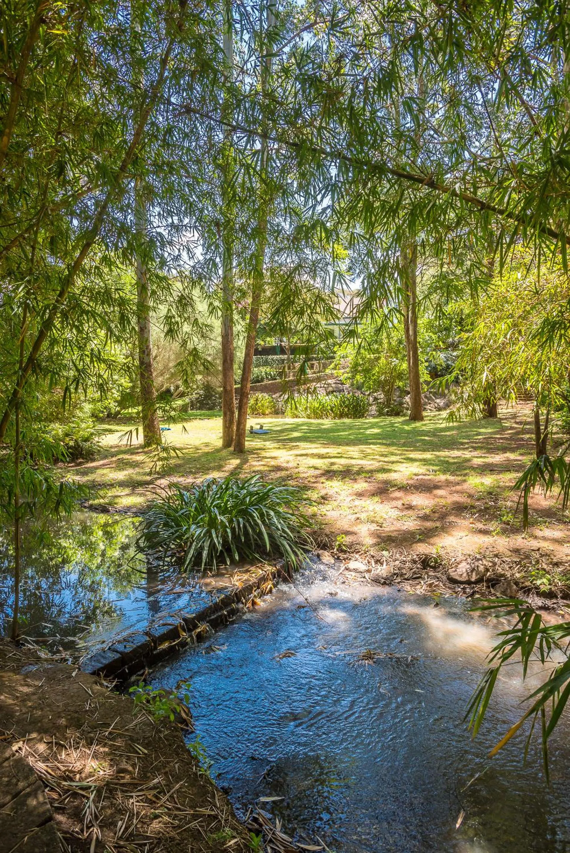 Natural landscape in Karen Gables