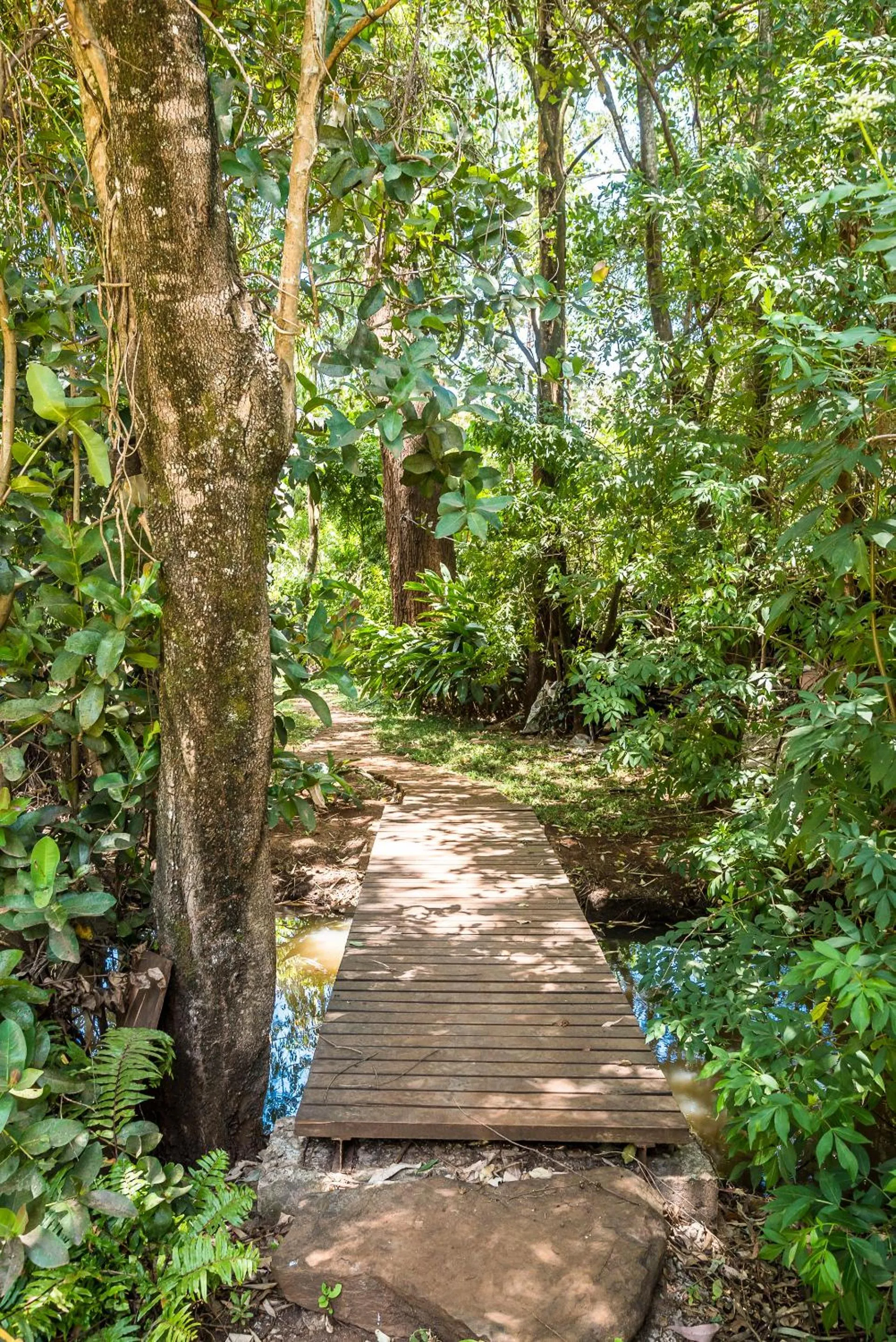 Natural landscape in Karen Gables