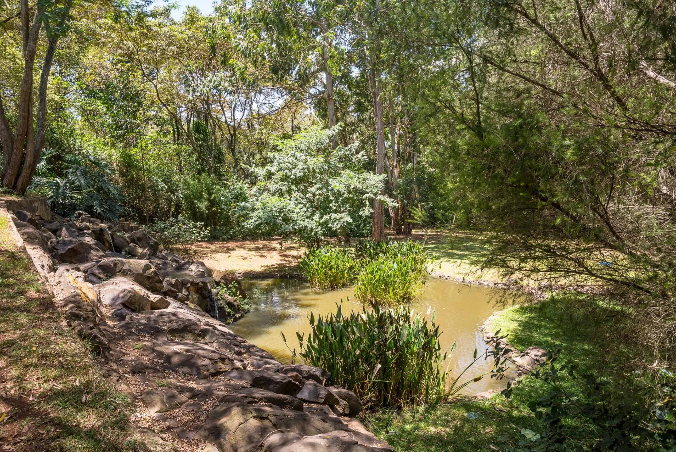 Garden in Karen Gables