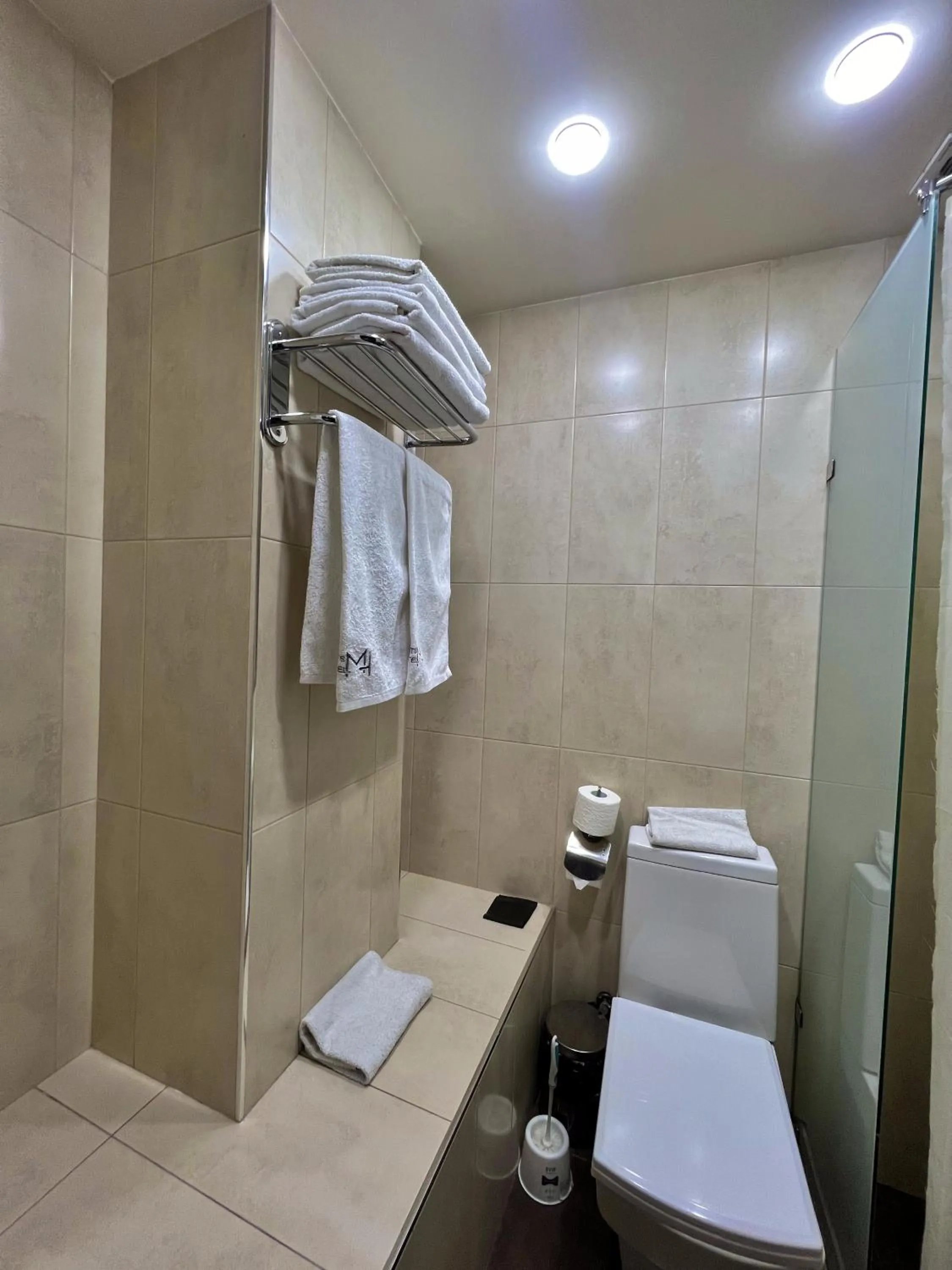 Toilet in Mashtots Hotel