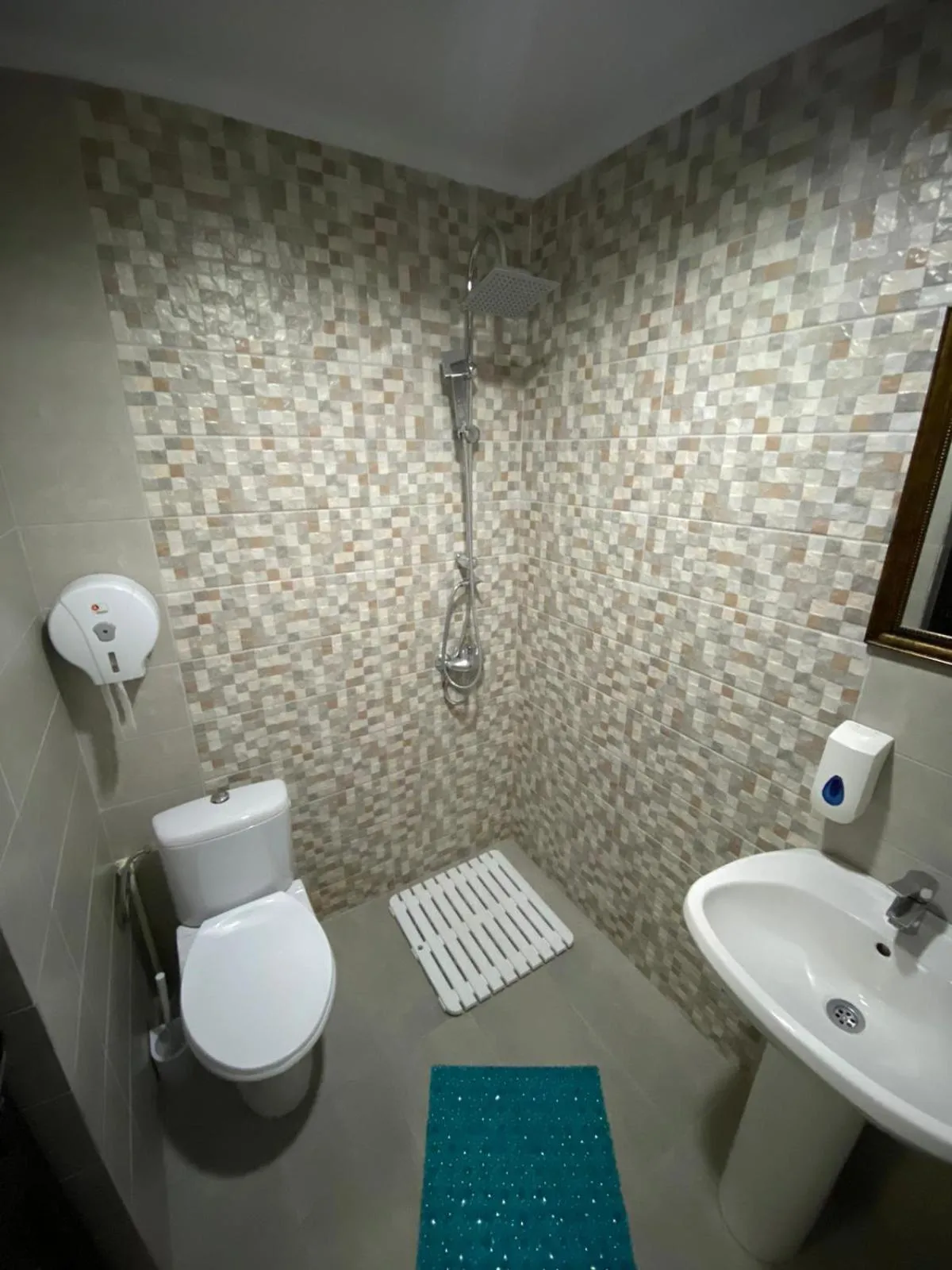 Bathroom in Hanu Satului