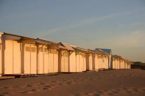 Area and facilities in Hotel Escapade