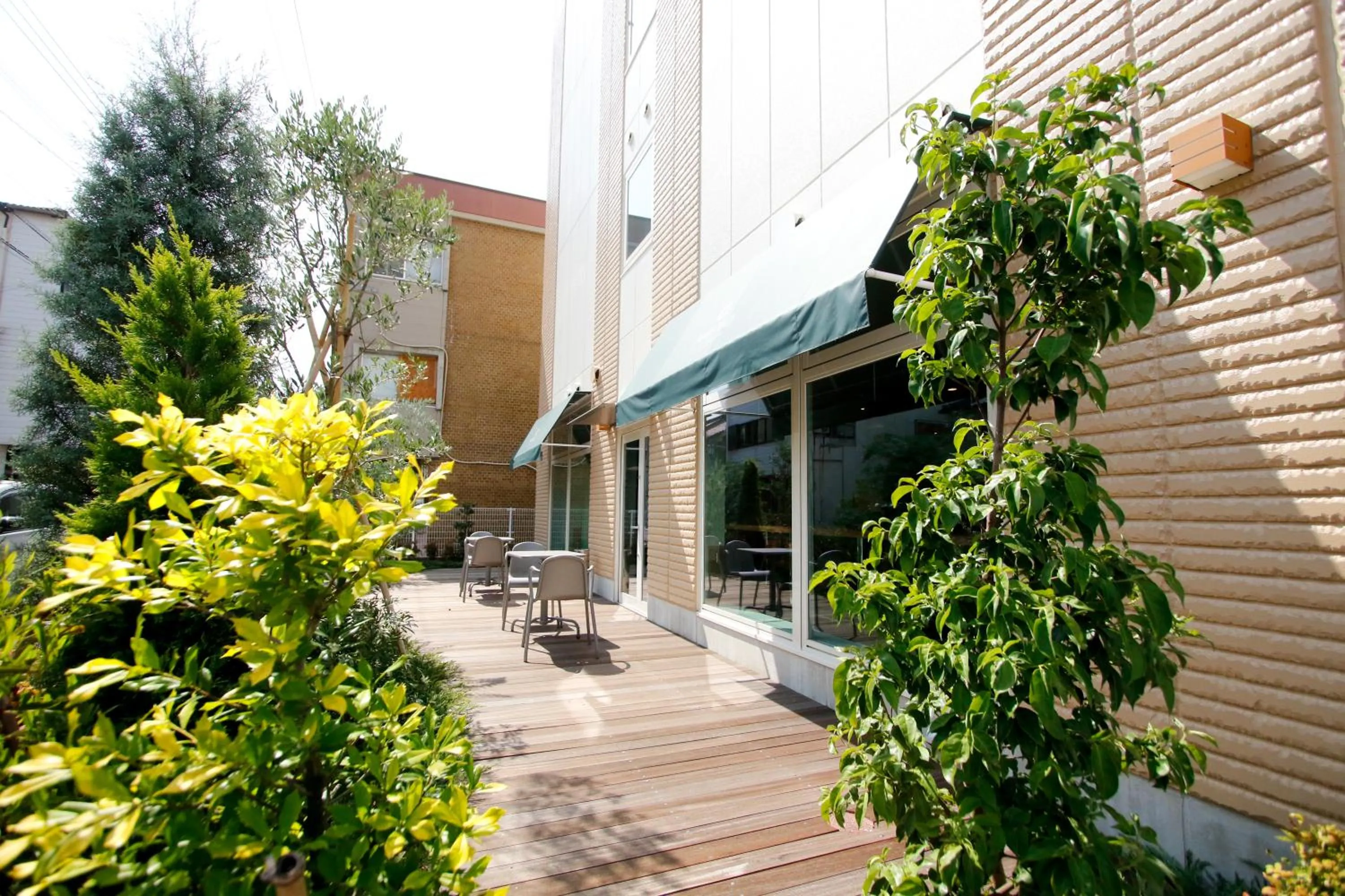 Garden in Amistad Hotel