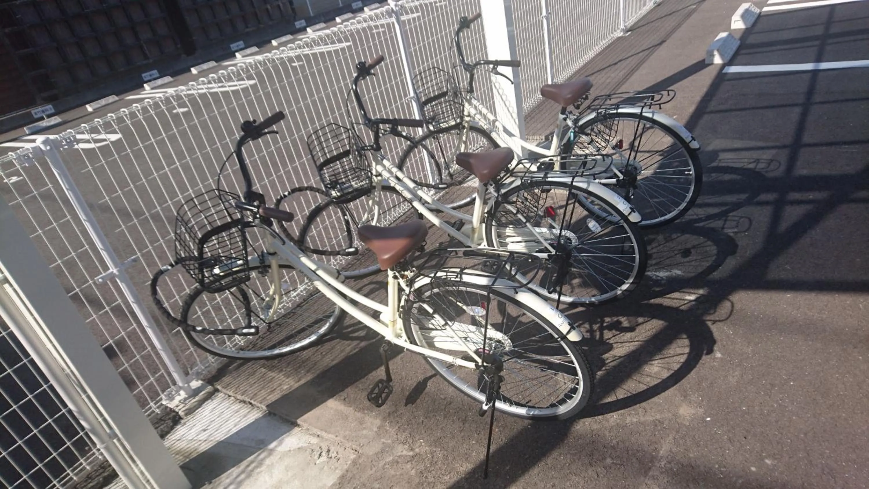 Area and facilities in Amistad Hotel