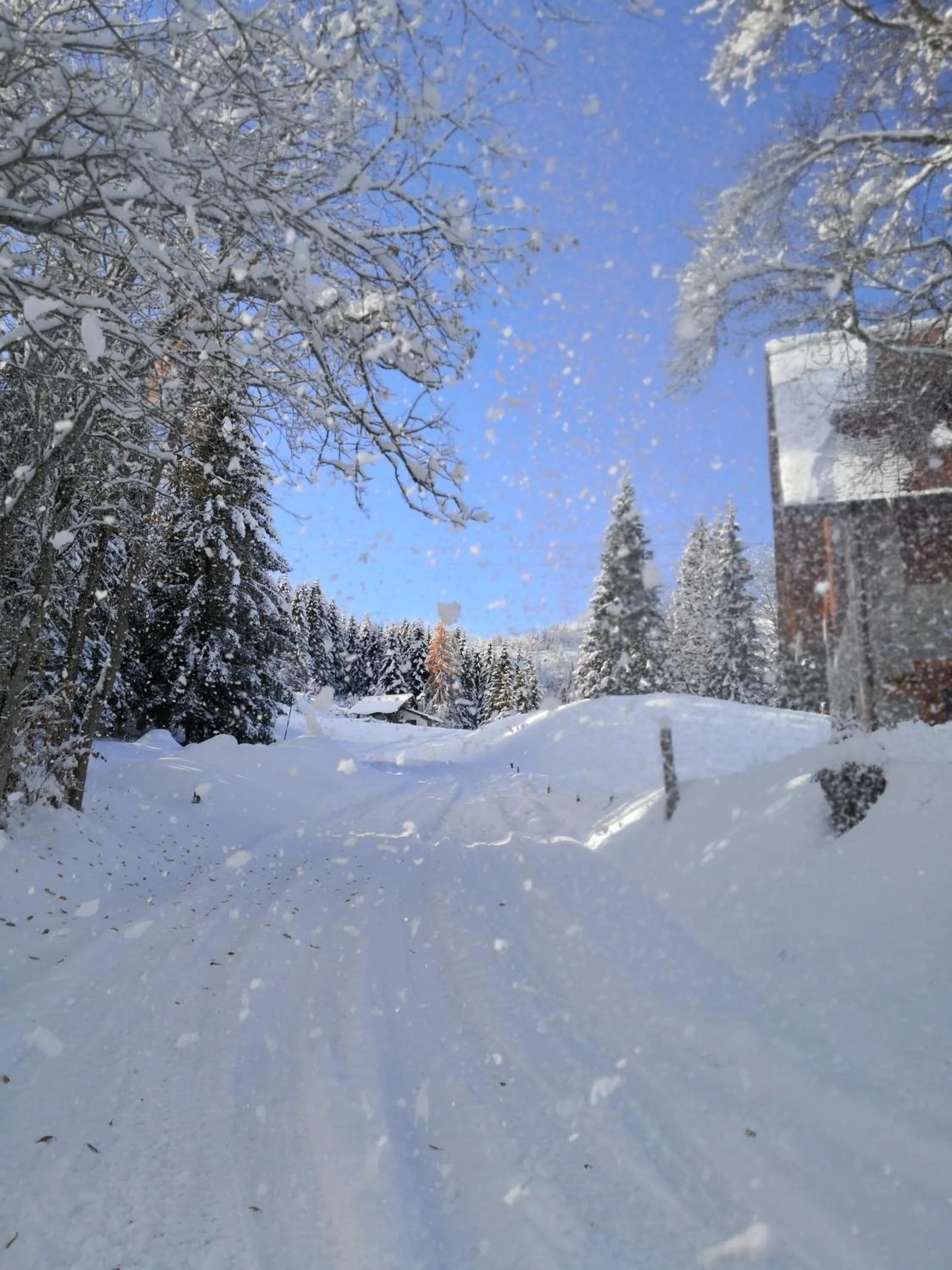 Hiking in B&B da mamma Lo