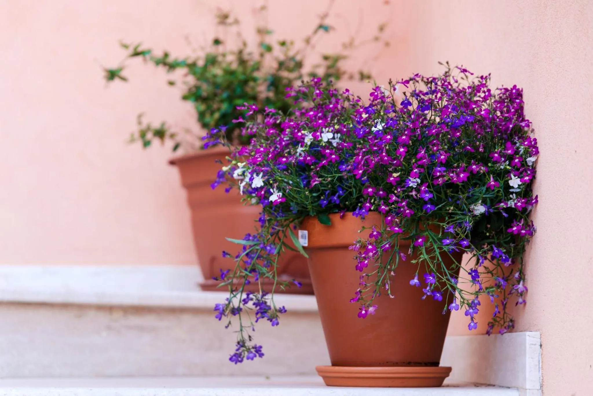 Spring in Villa dei Mercanti