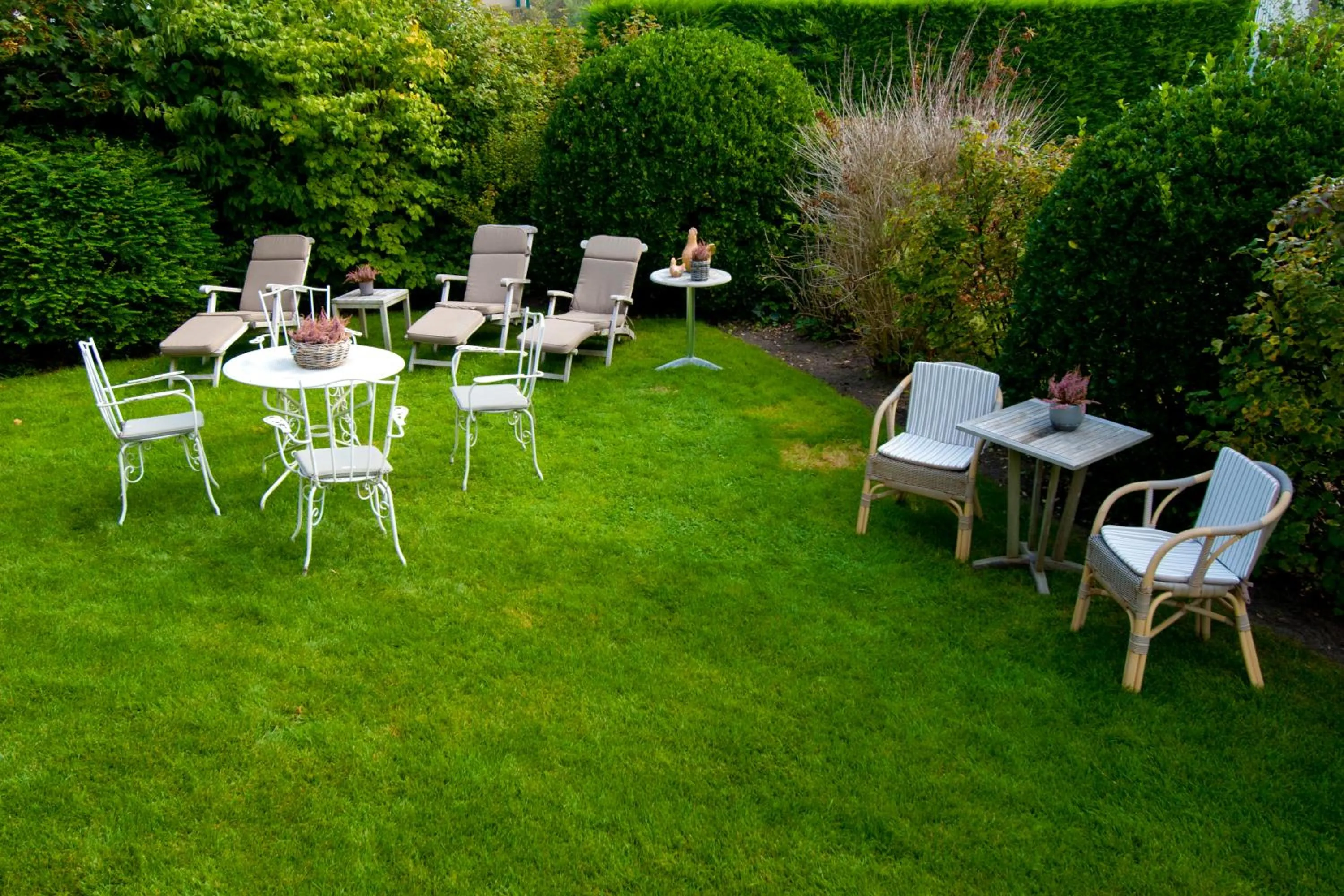 Garden in Hotel Bilderdijk