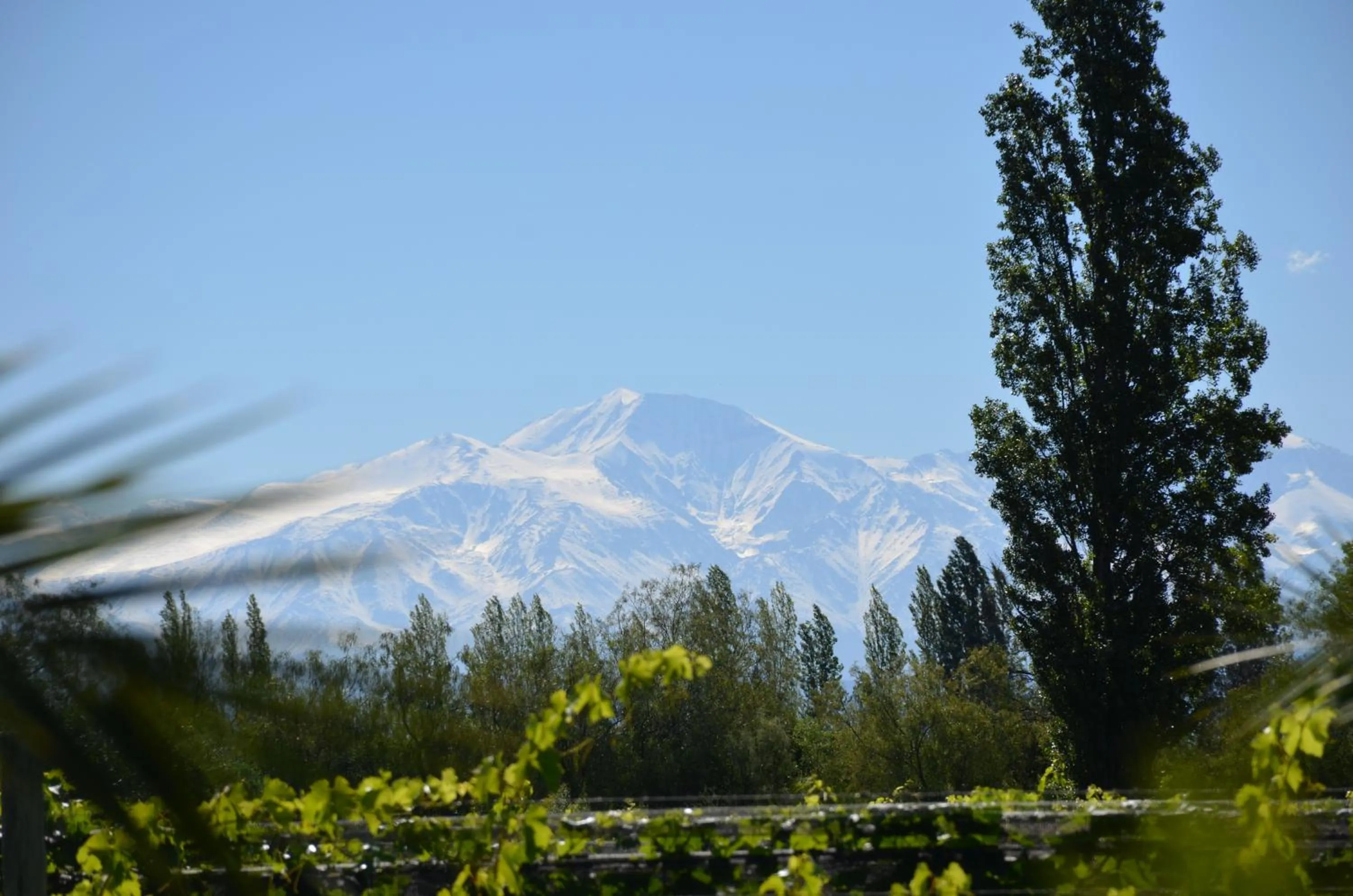 Mountain view in Finca Fisterra