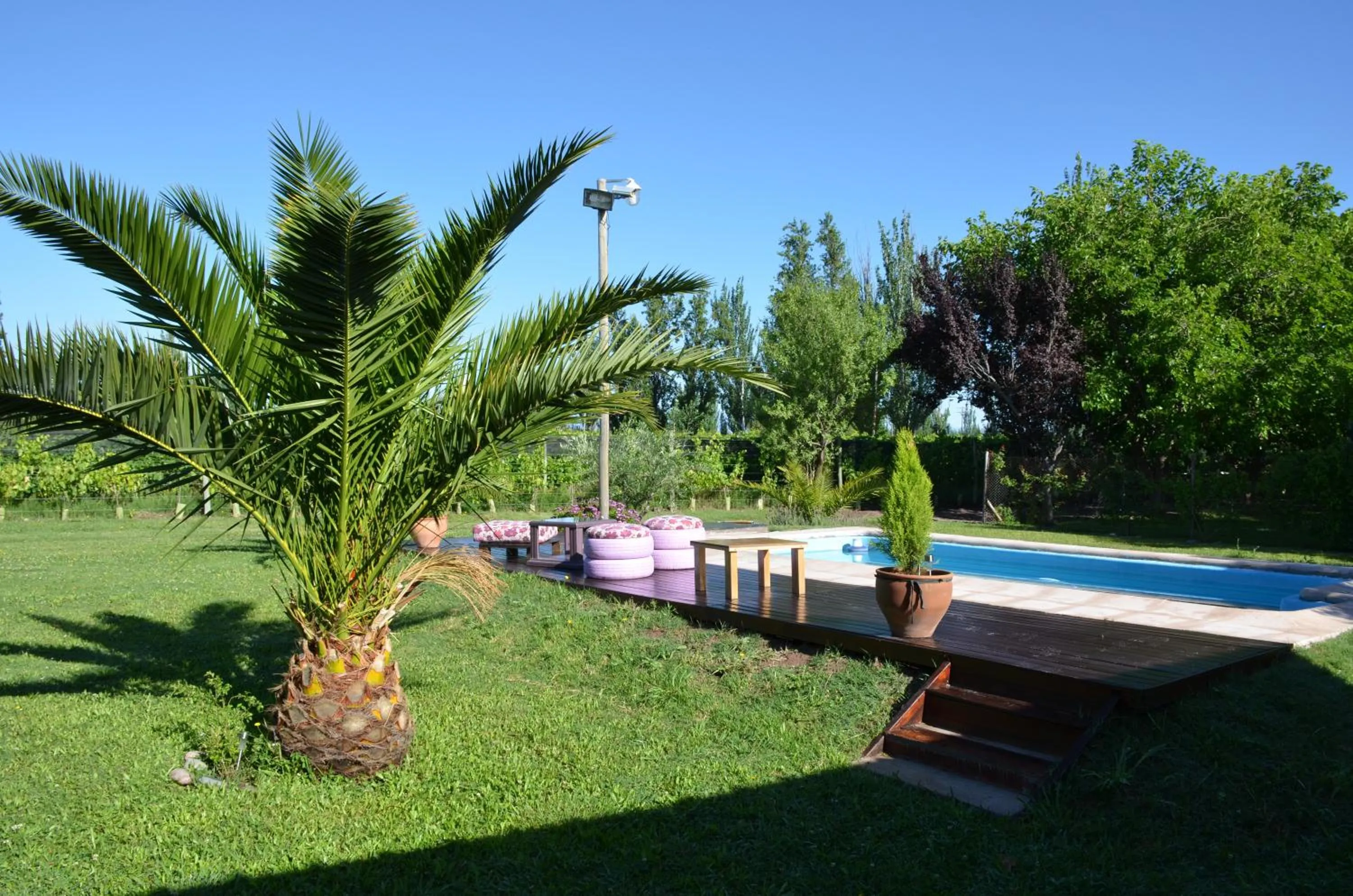 Pool view in Finca Fisterra