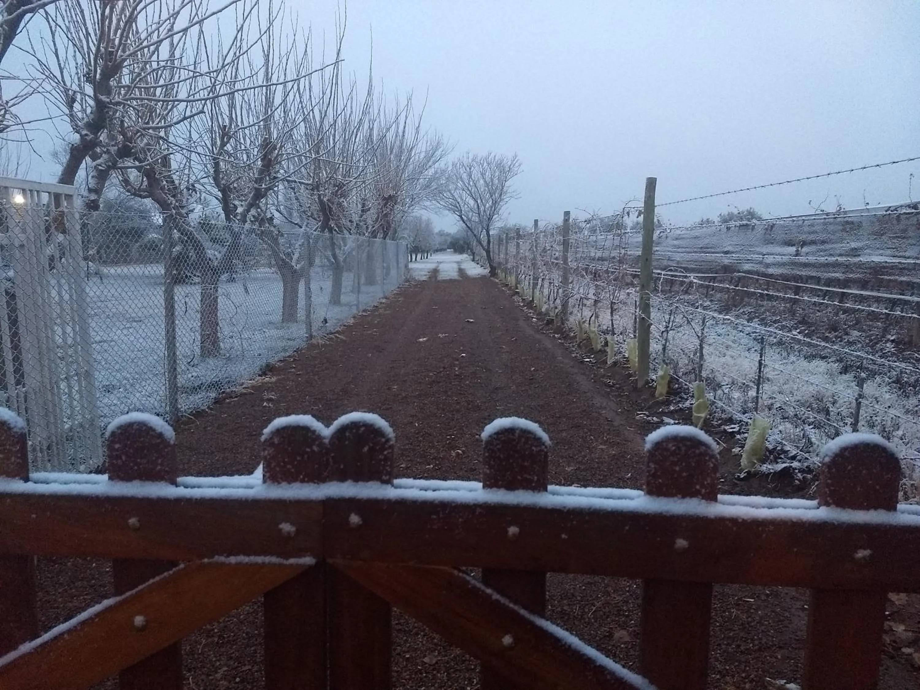 Garden in Finca Fisterra