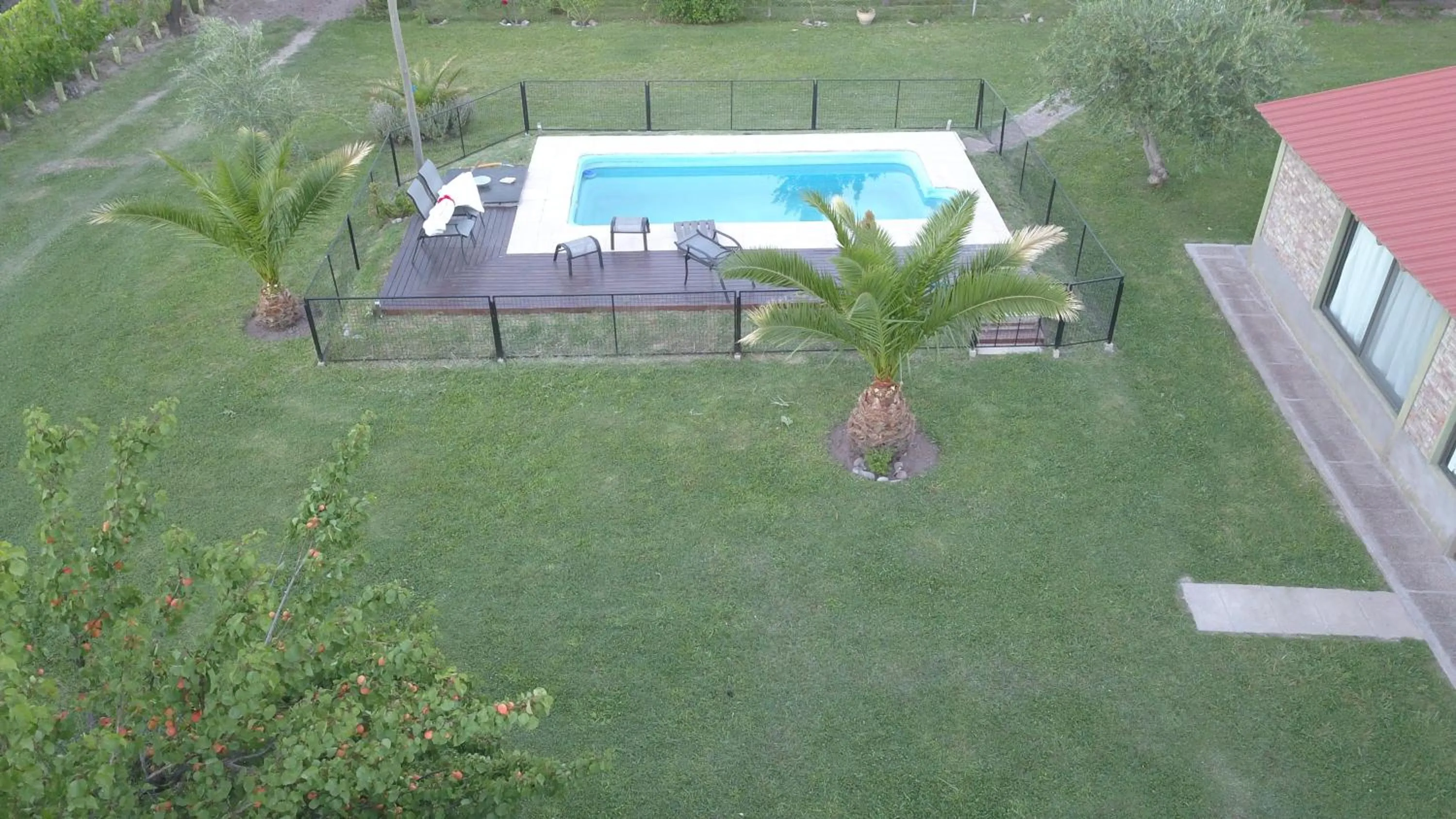 Garden in Finca Fisterra