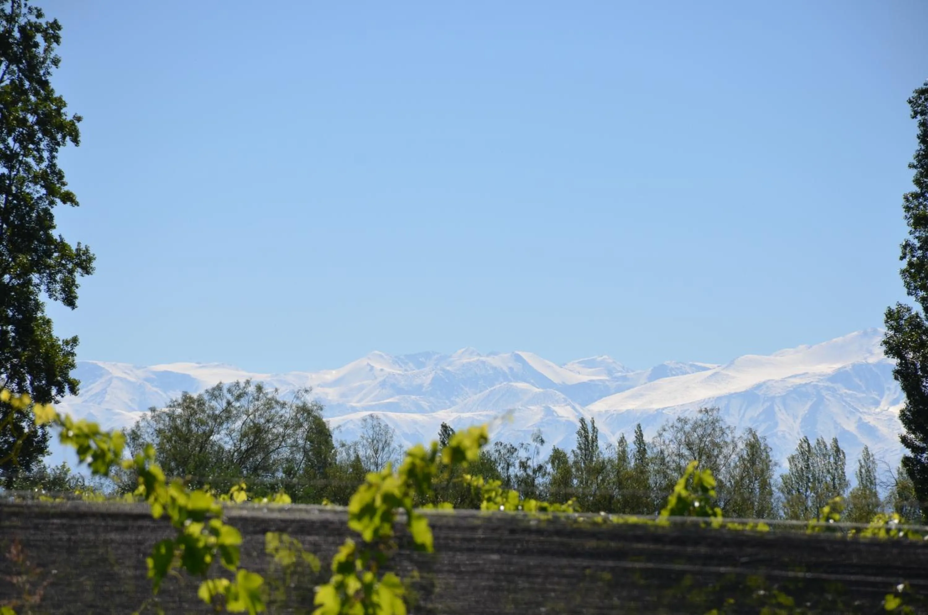 Garden view in Finca Fisterra