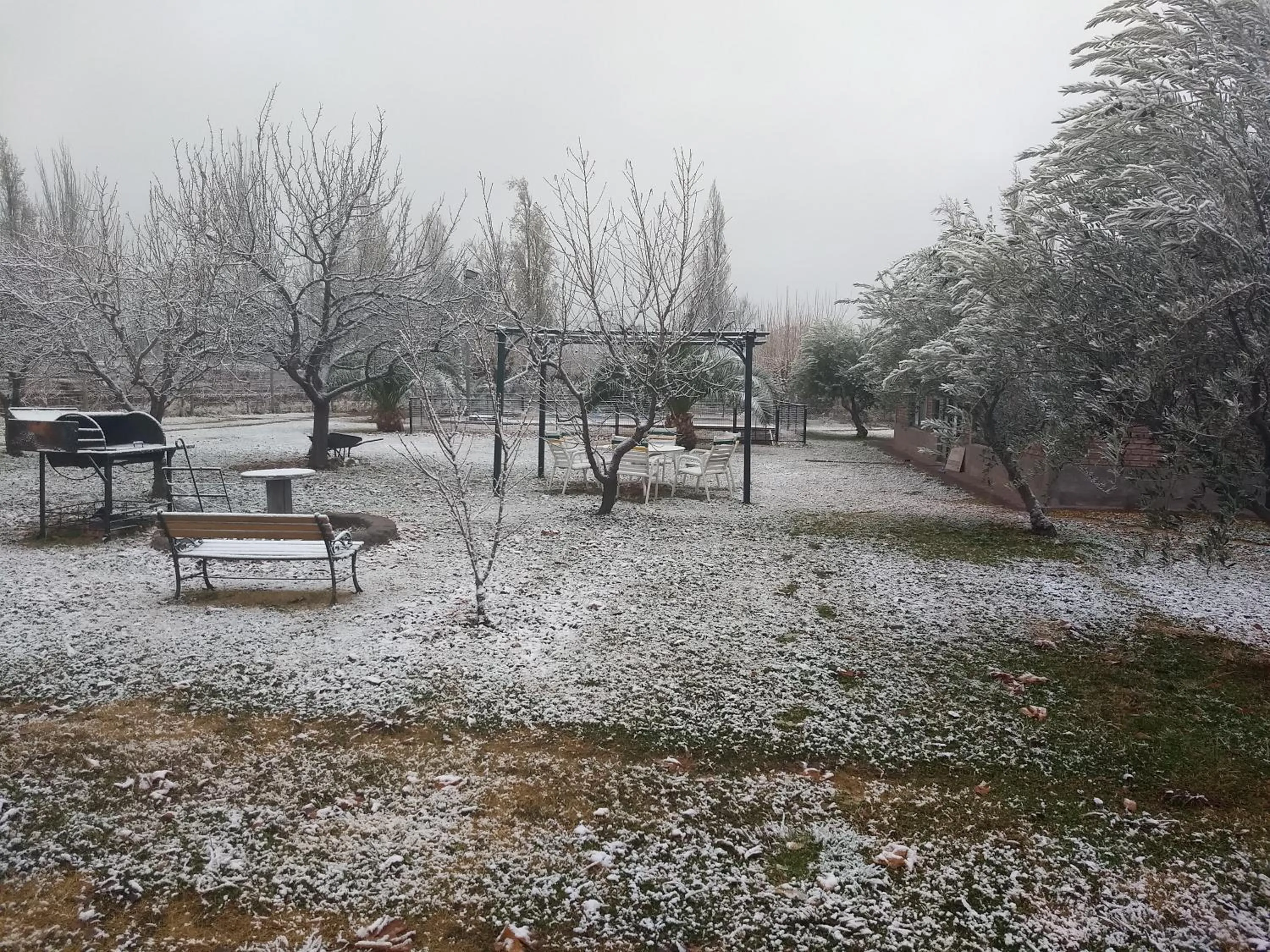 Garden in Finca Fisterra