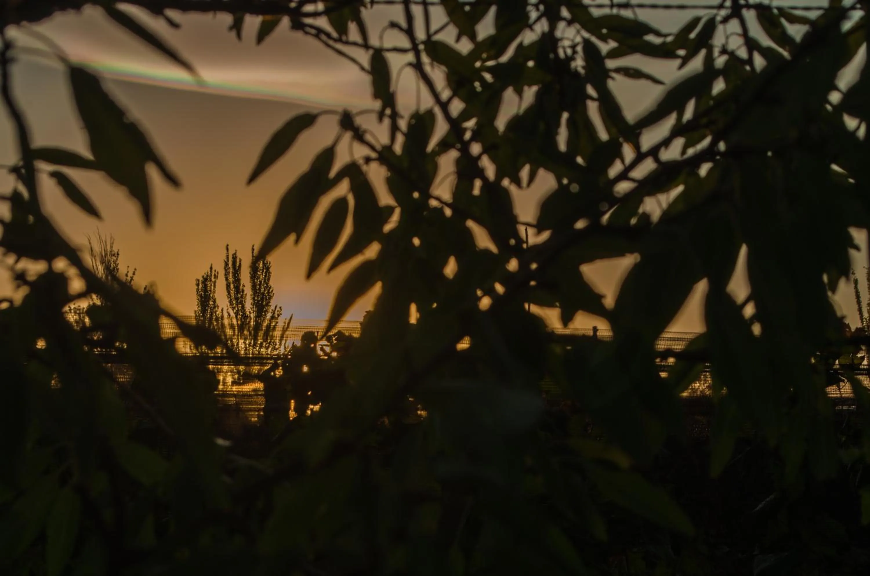 Natural landscape in Finca Fisterra