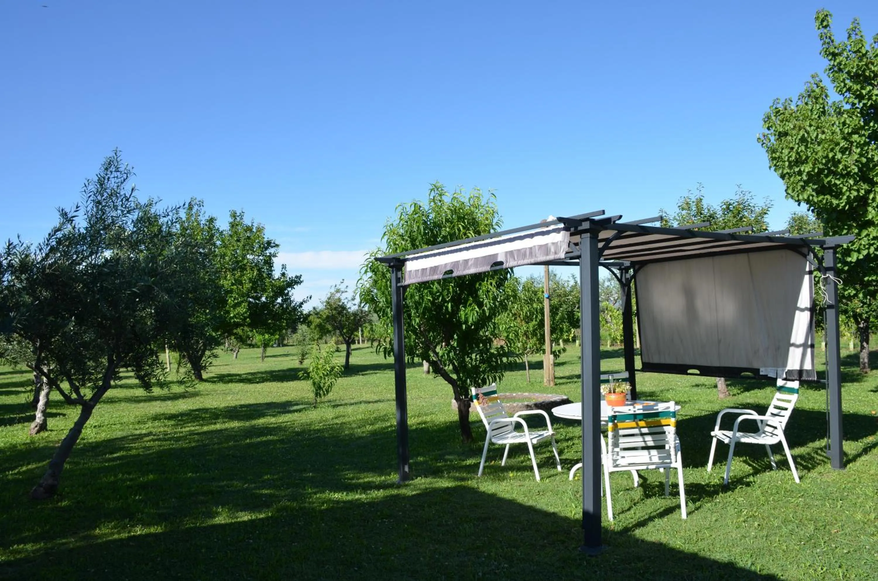 Garden in Finca Fisterra