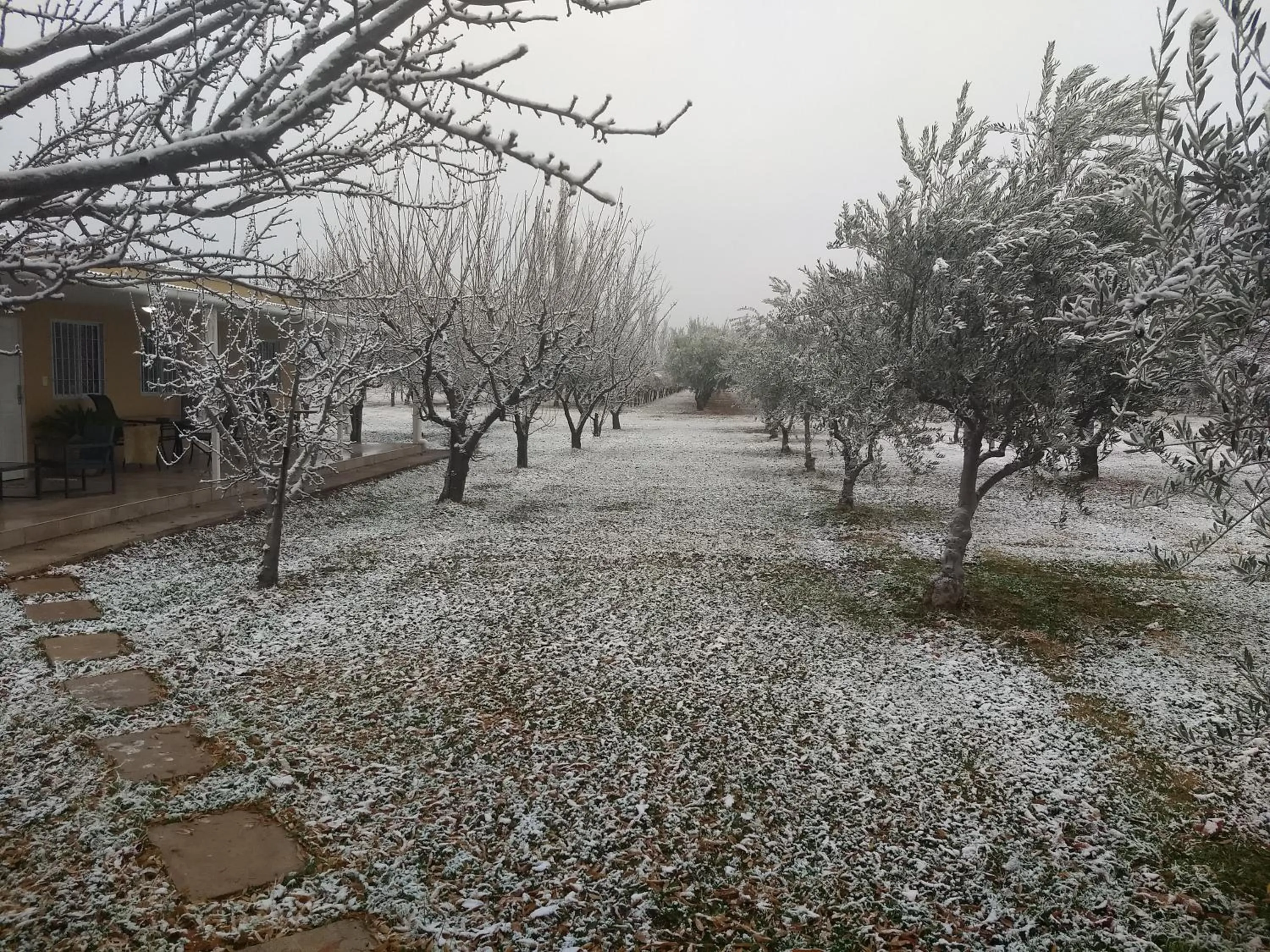 Garden in Finca Fisterra