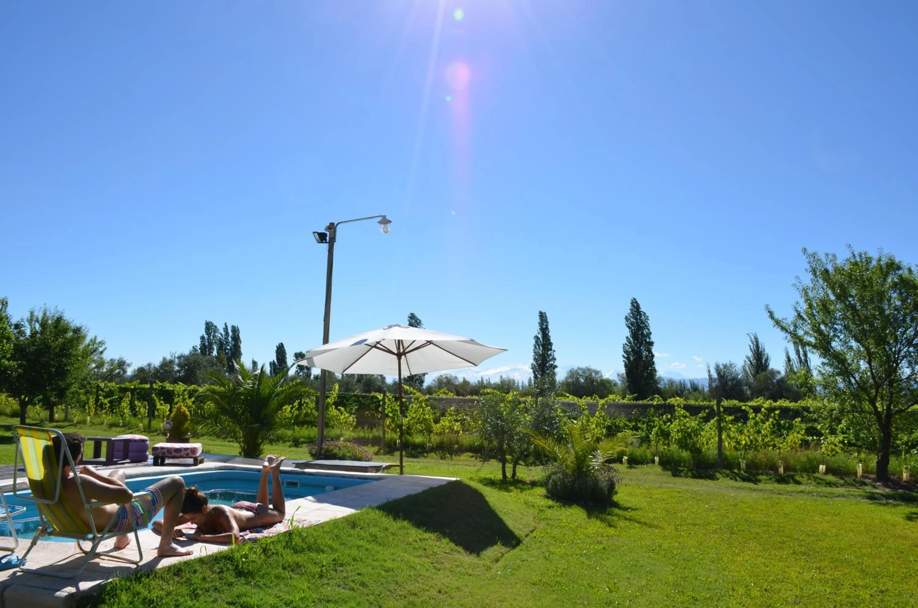 Swimming pool in Finca Fisterra