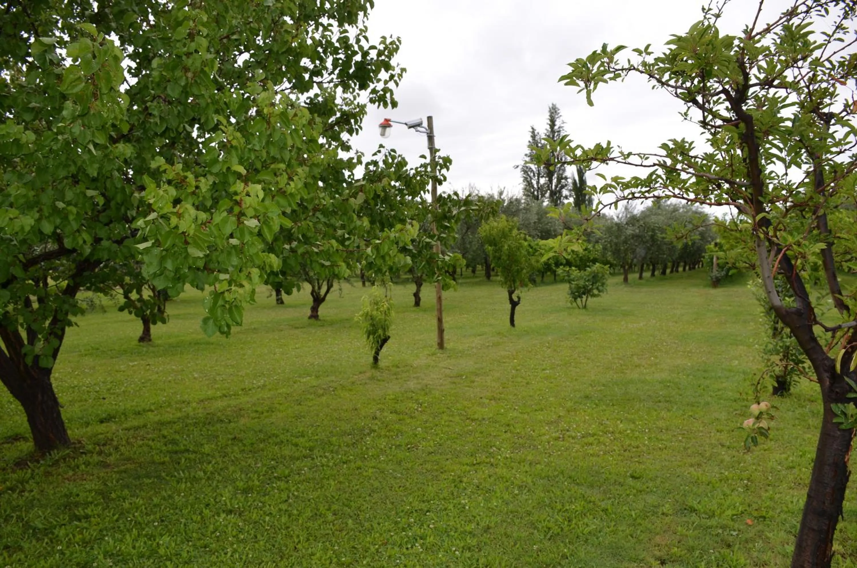 Garden in Finca Fisterra