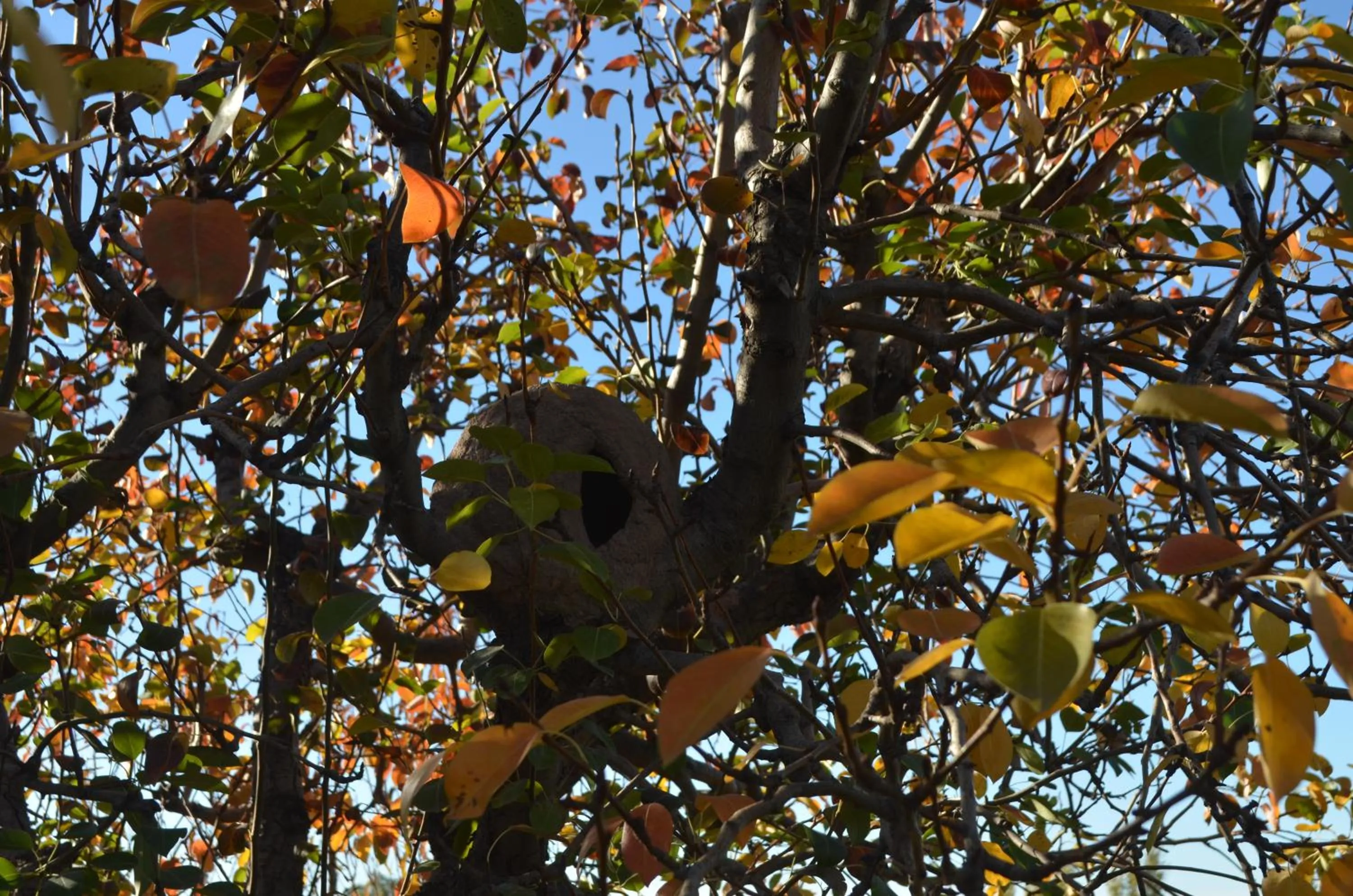 Day in Finca Fisterra