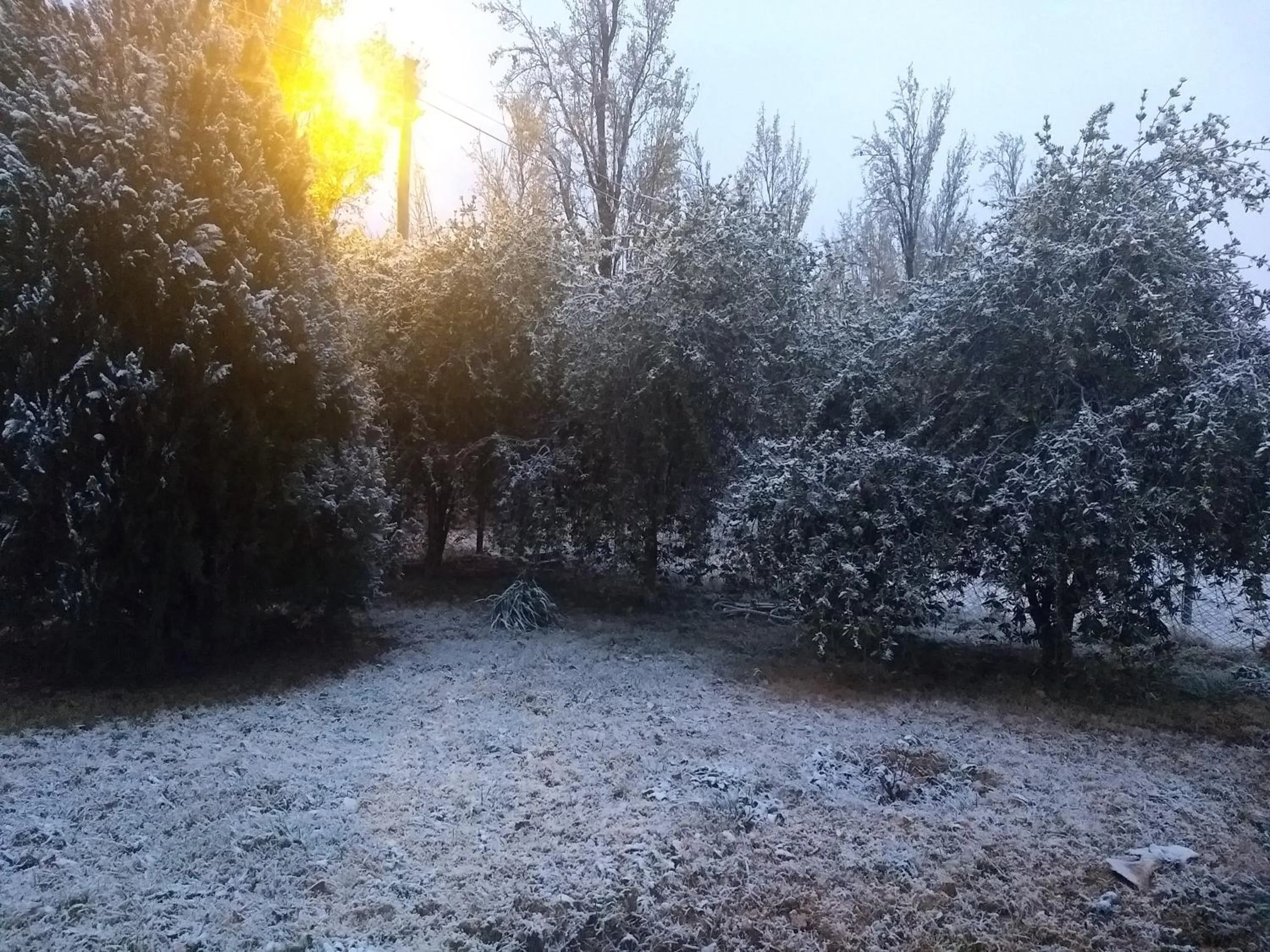 Winter in Finca Fisterra