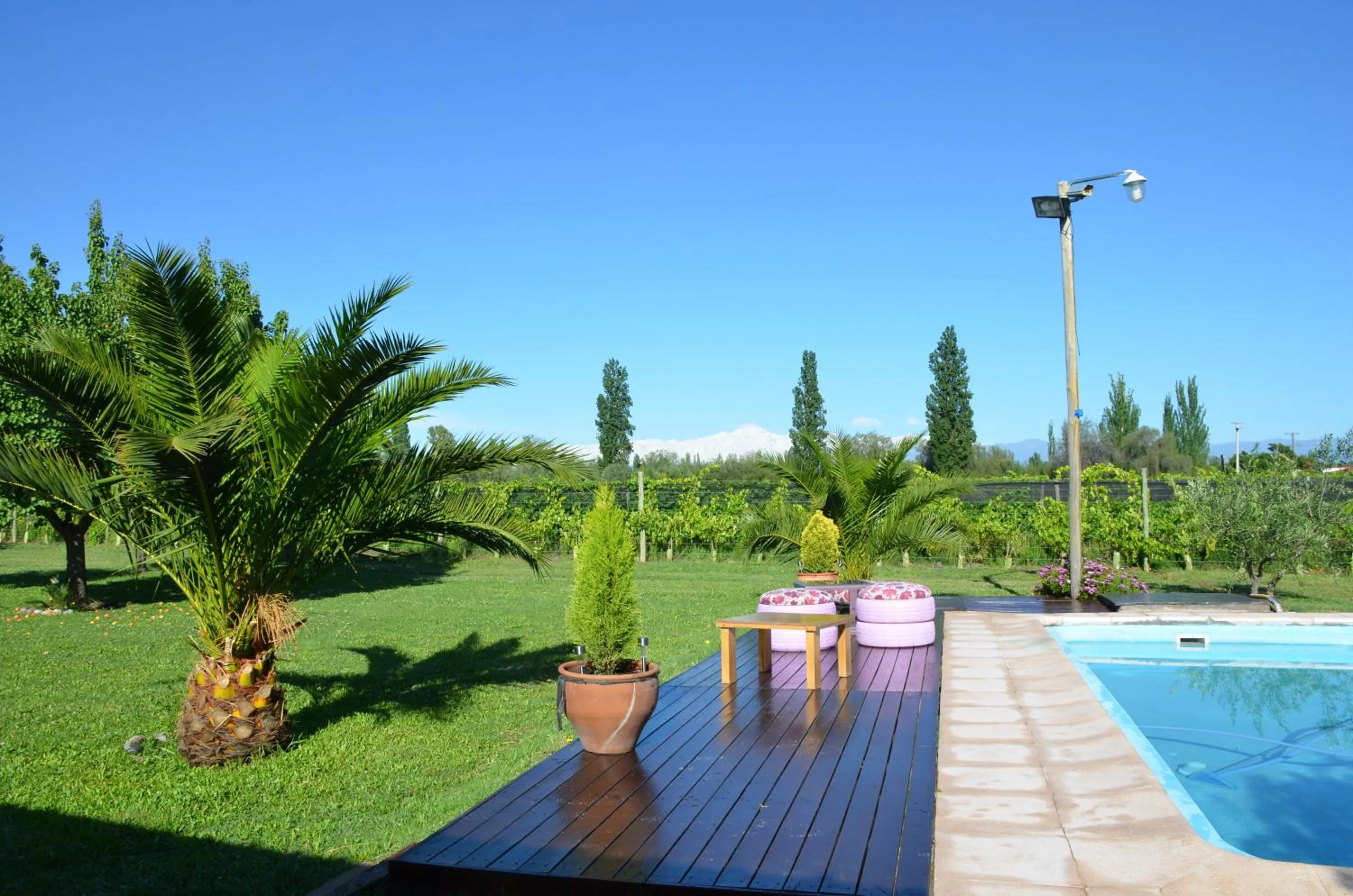 Garden view in Finca Fisterra