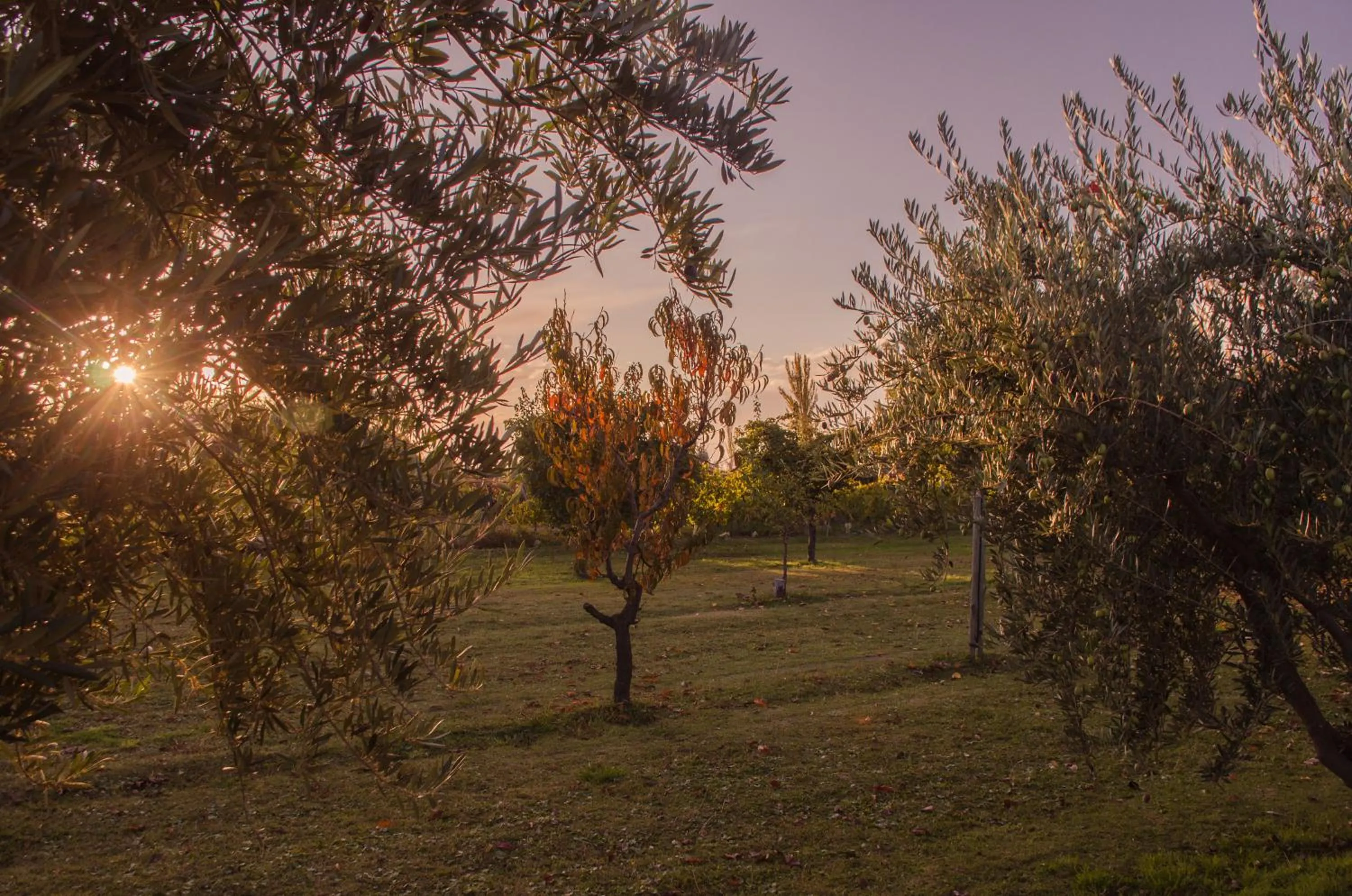 Patio in Finca Fisterra