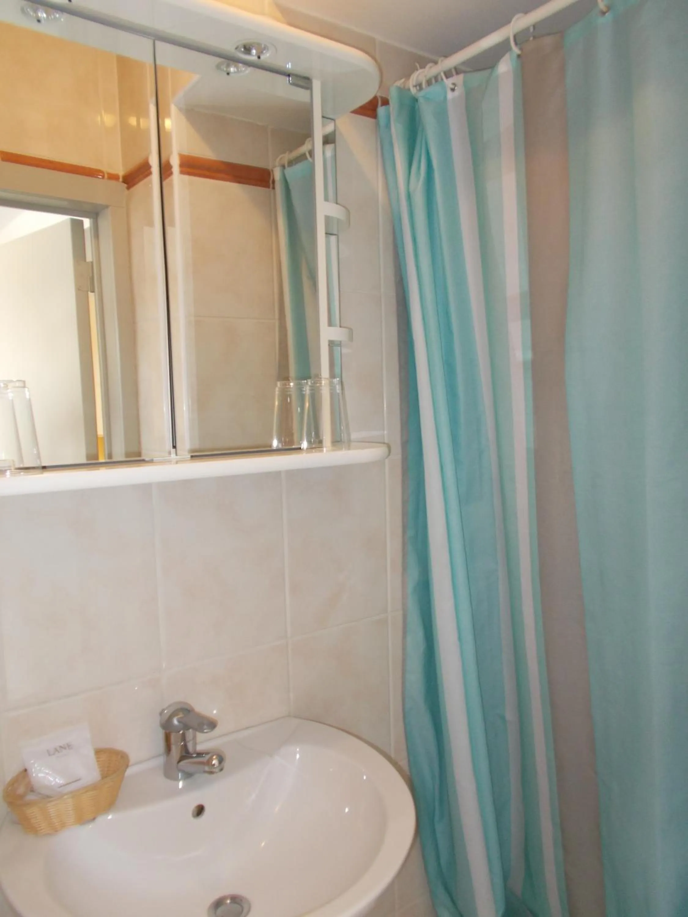 Bathroom in Hotel Manitoba