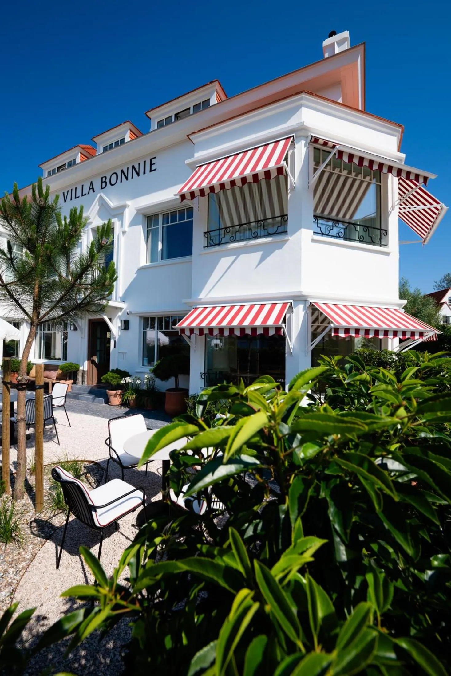 Garden in Hotel Villa Bonnie