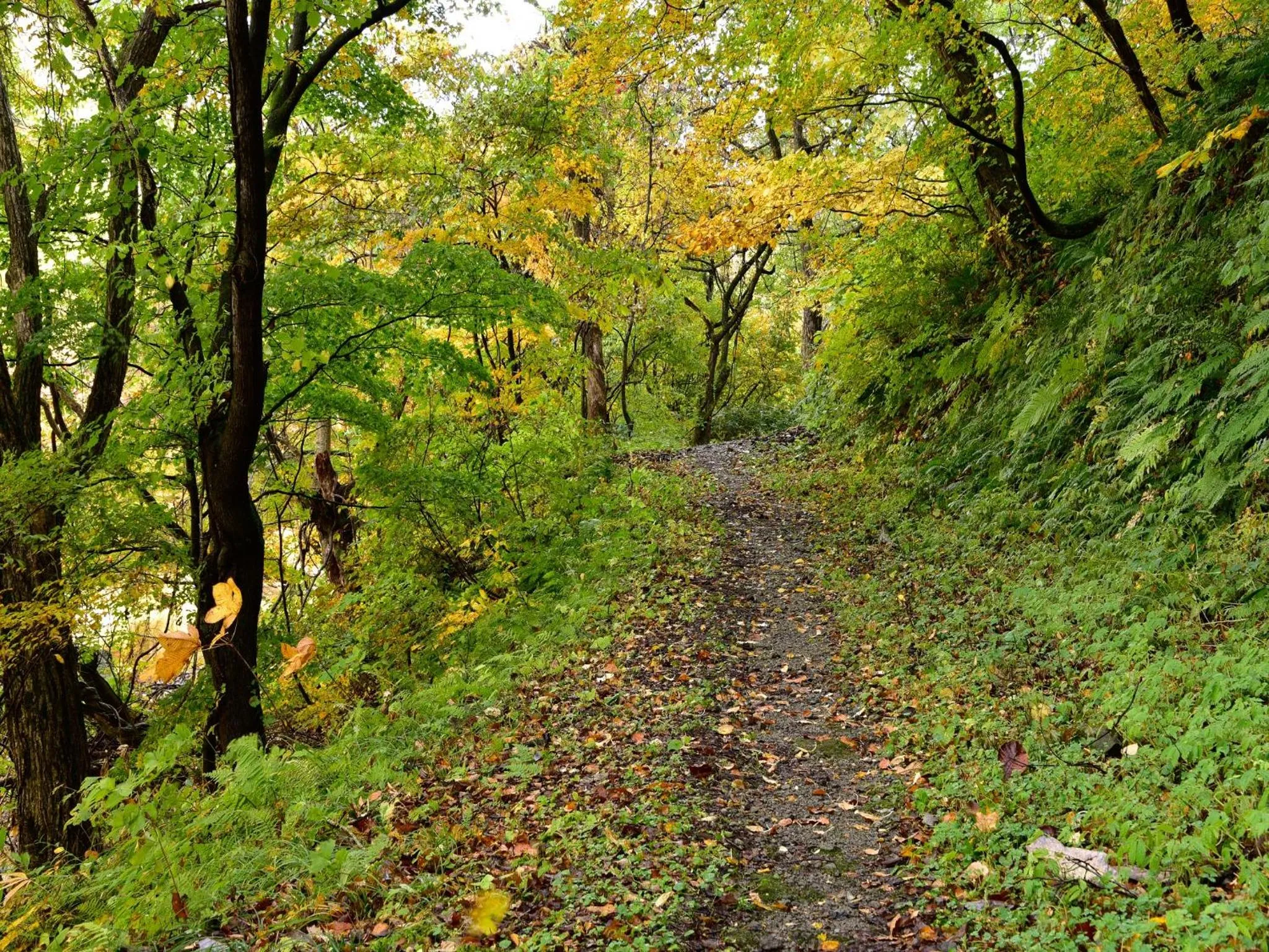 Natural landscape in Yuze Hotel