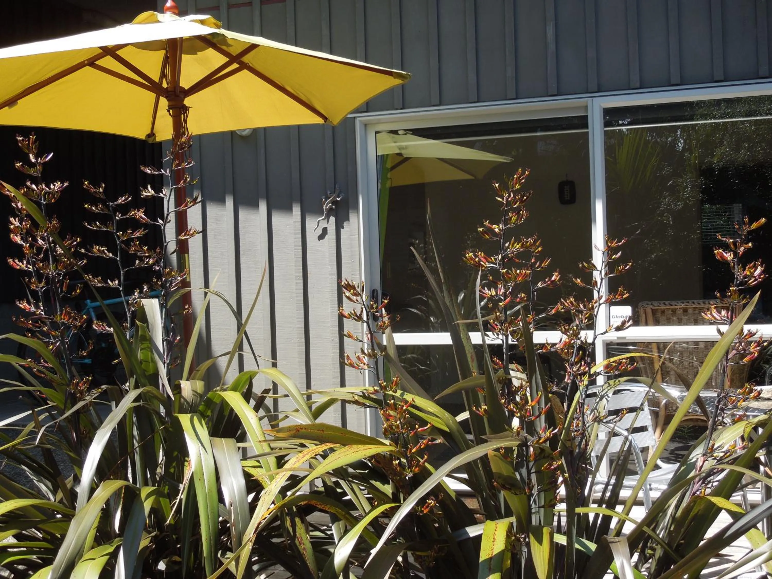 Patio in Island Breeze