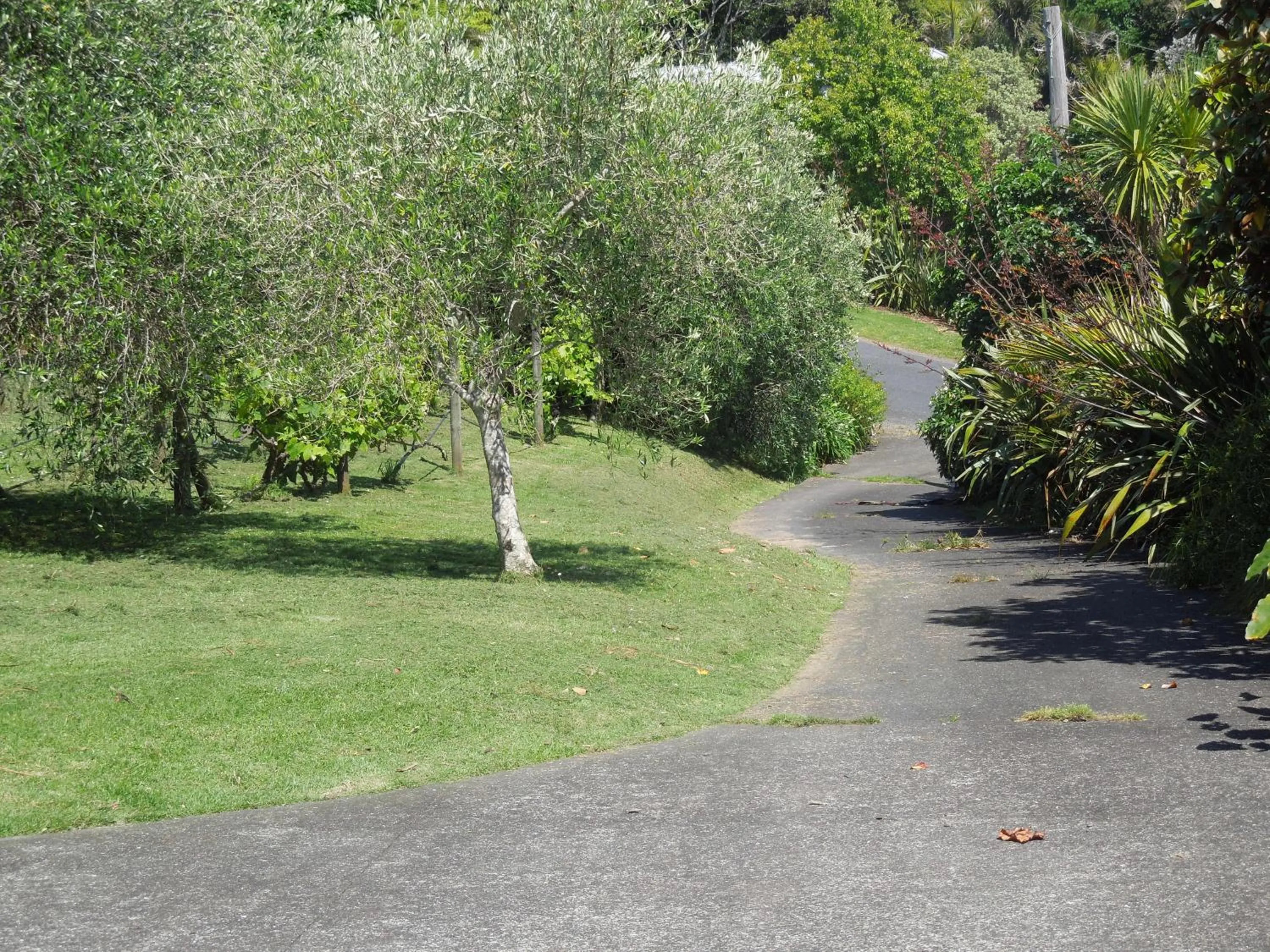 Garden view in Island Breeze