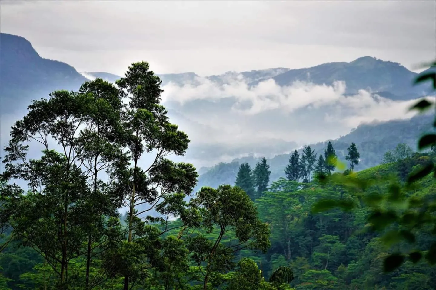 Mountain view in Maskeli Oya Family Park