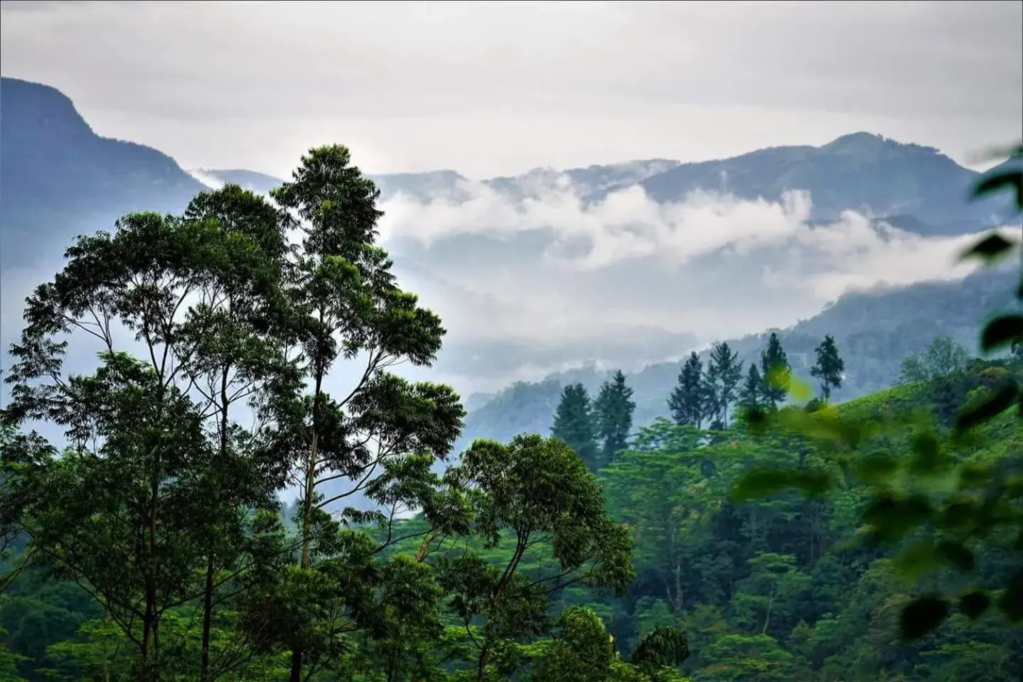 Log Cabin - single occupancy in Maskeli Oya Family Park Log Cabin - single occupancy in Maskeli Oya Family Park