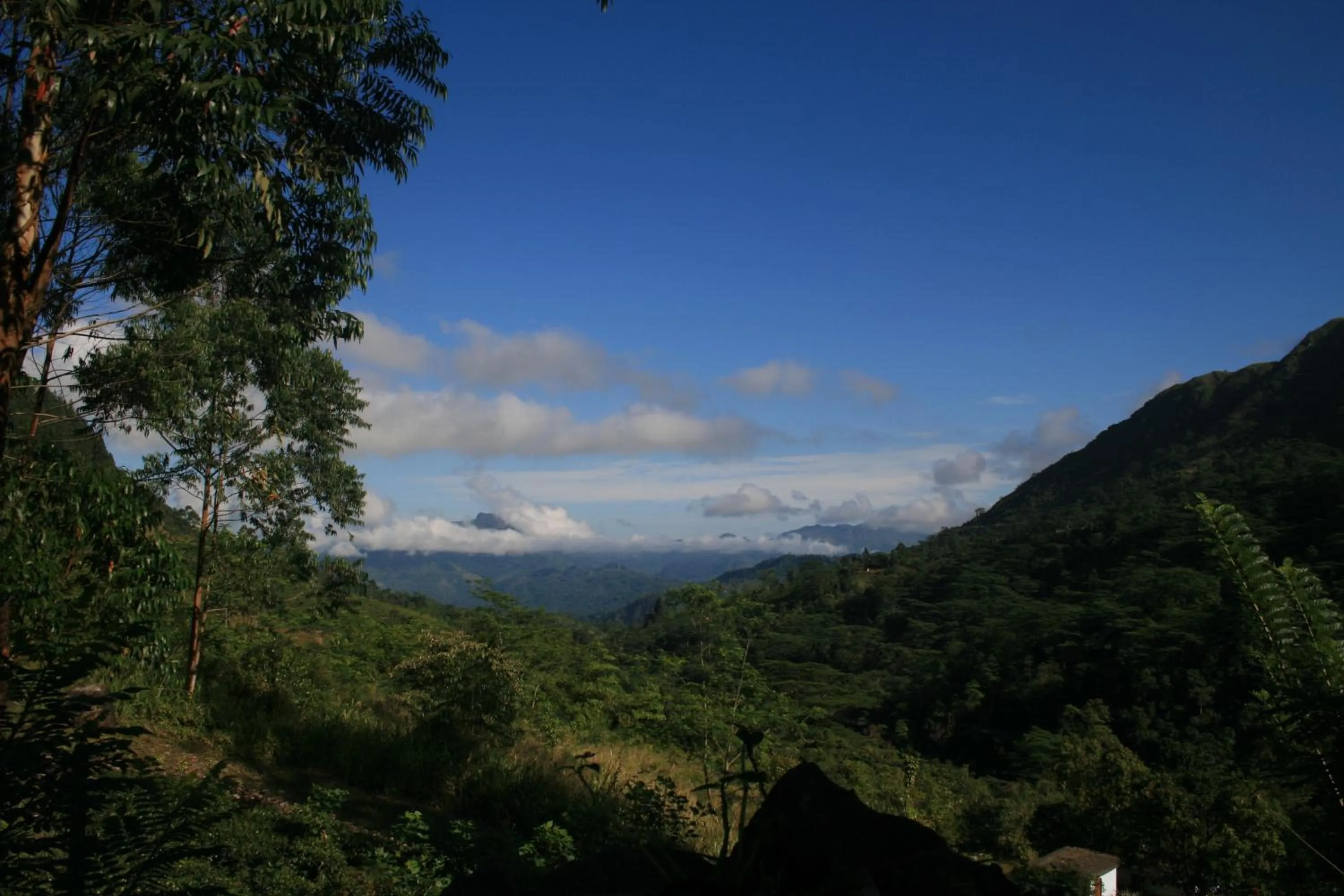 Mountain view in Maskeli Oya Family Park