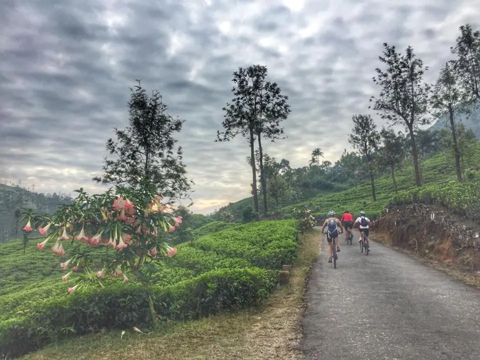 Maskeli Oya Family Park