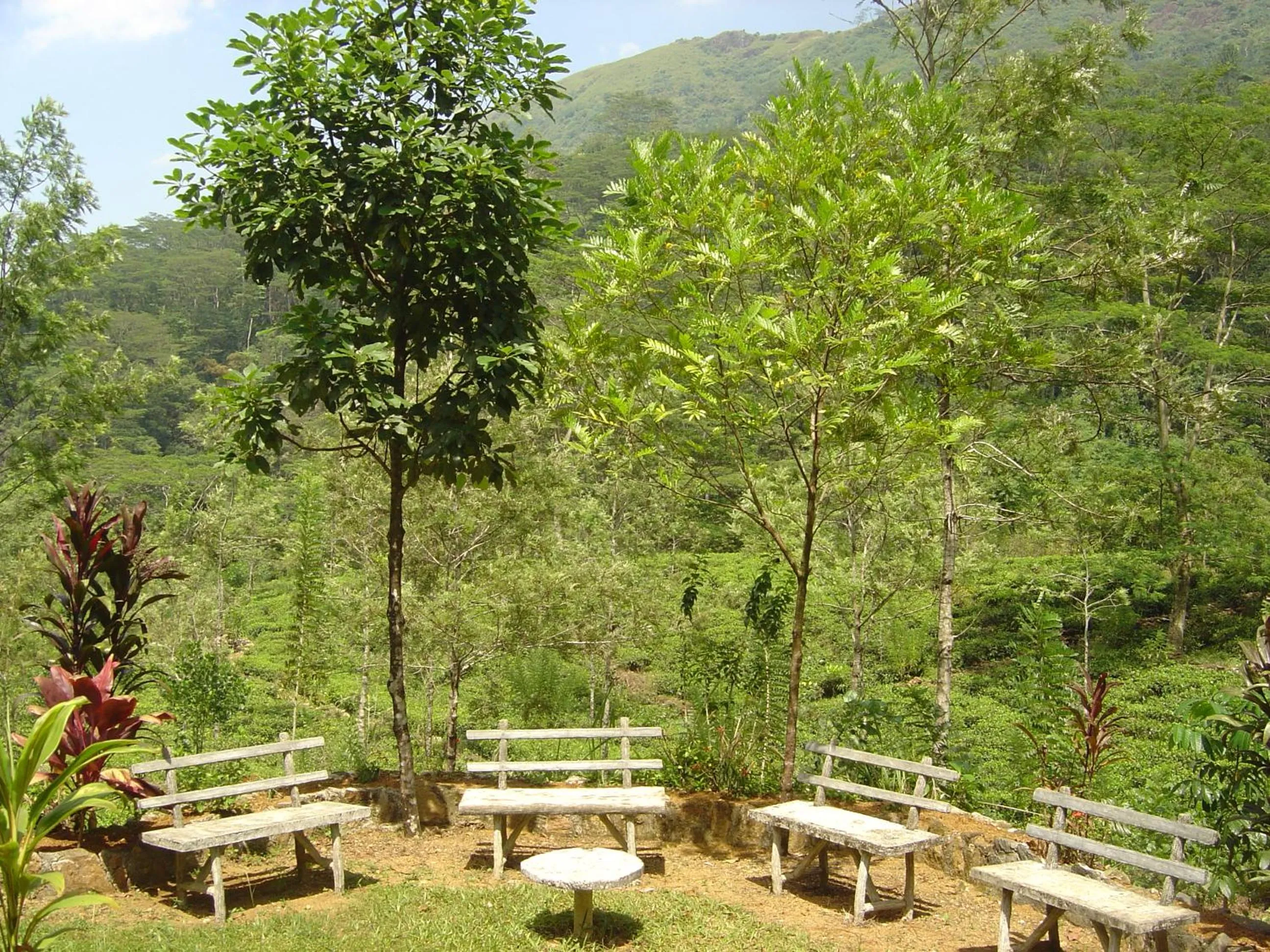 Balcony/Terrace in Maskeli Oya Family Park