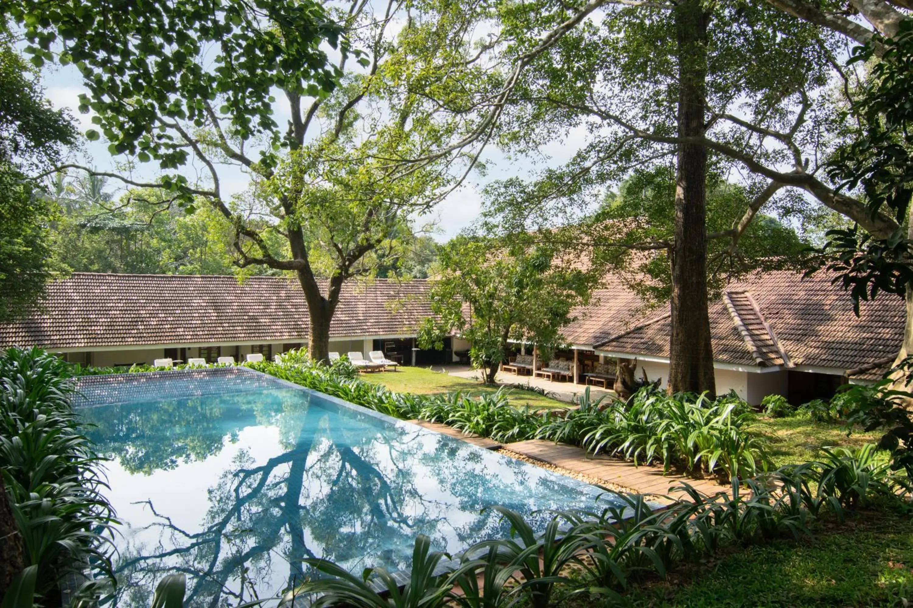 Pool view in EKHO Sigiriya - 700 meters to Sigiriya Rock Pool view in EKHO Sigiriya - 700 meters to Sigiriya Rock