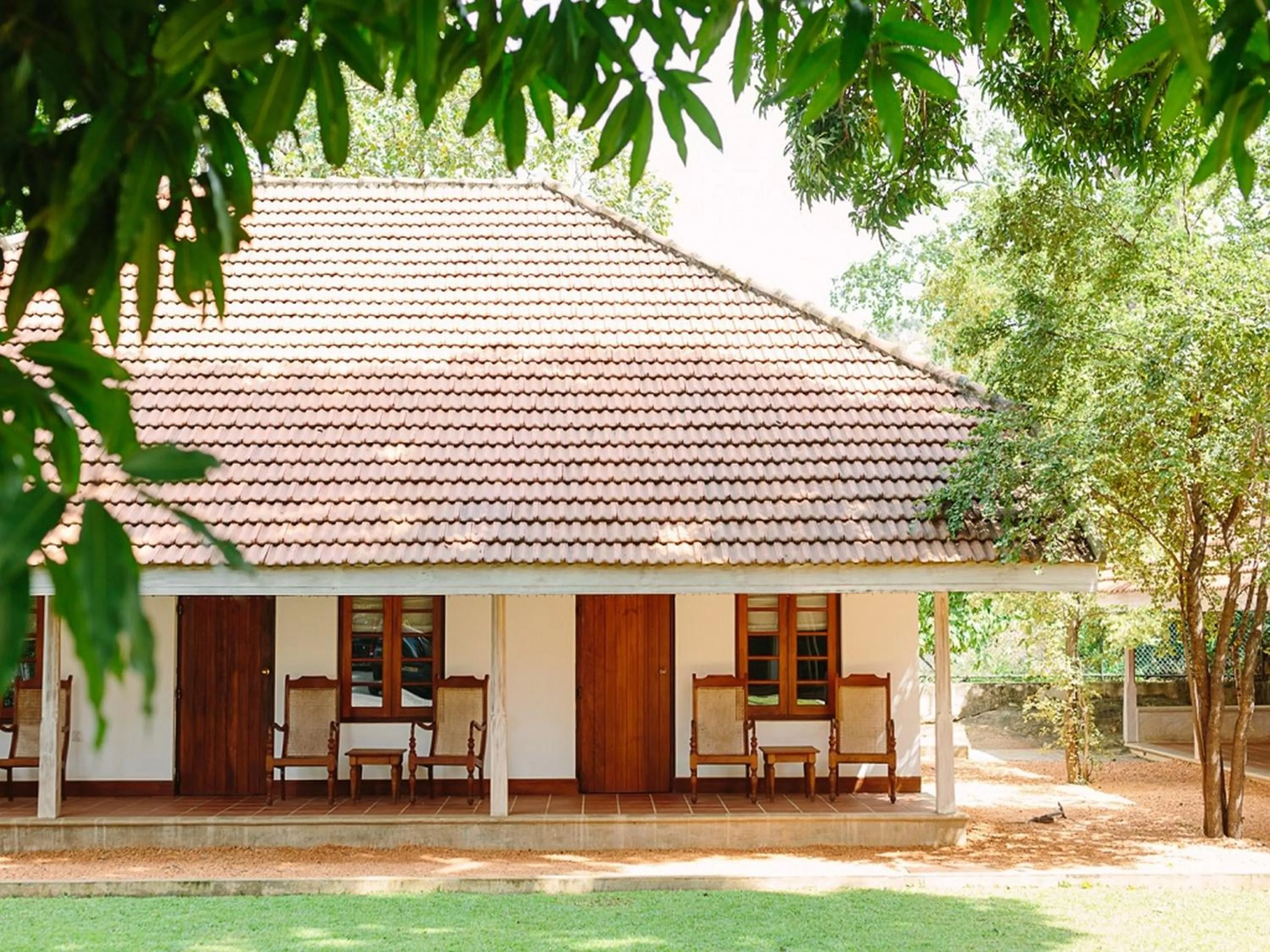 Garden in EKHO Sigiriya - 700 meters to Sigiriya Rock